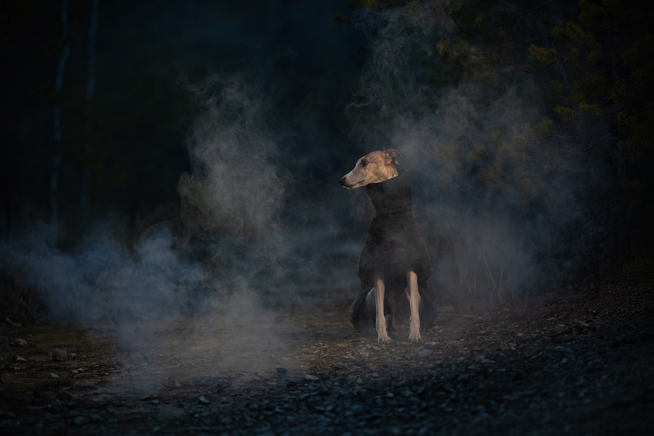 Прогулки на природе. -