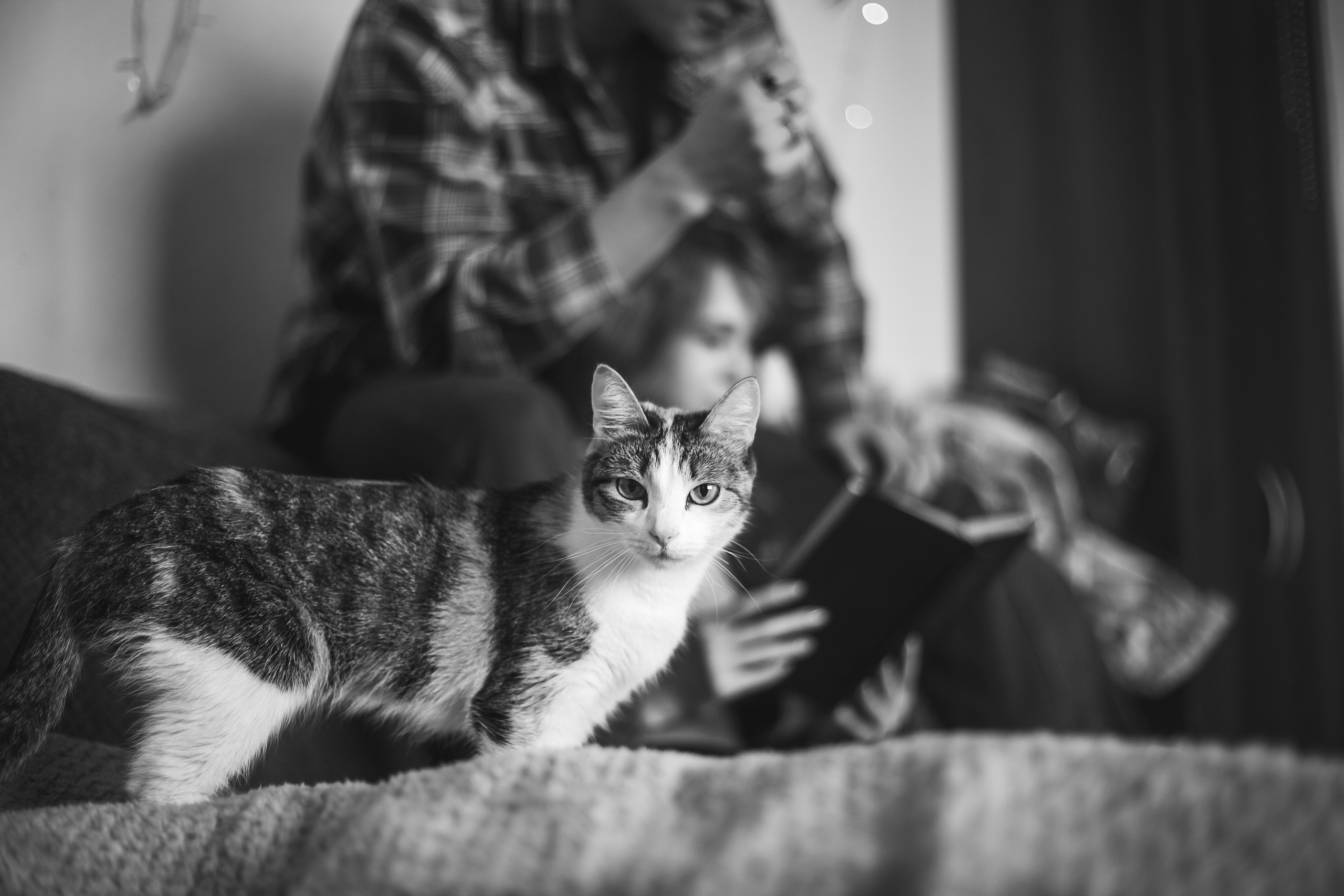 Жан и Катя. Свадебный и портретный фотограф в Красноярске Алина Семенихина