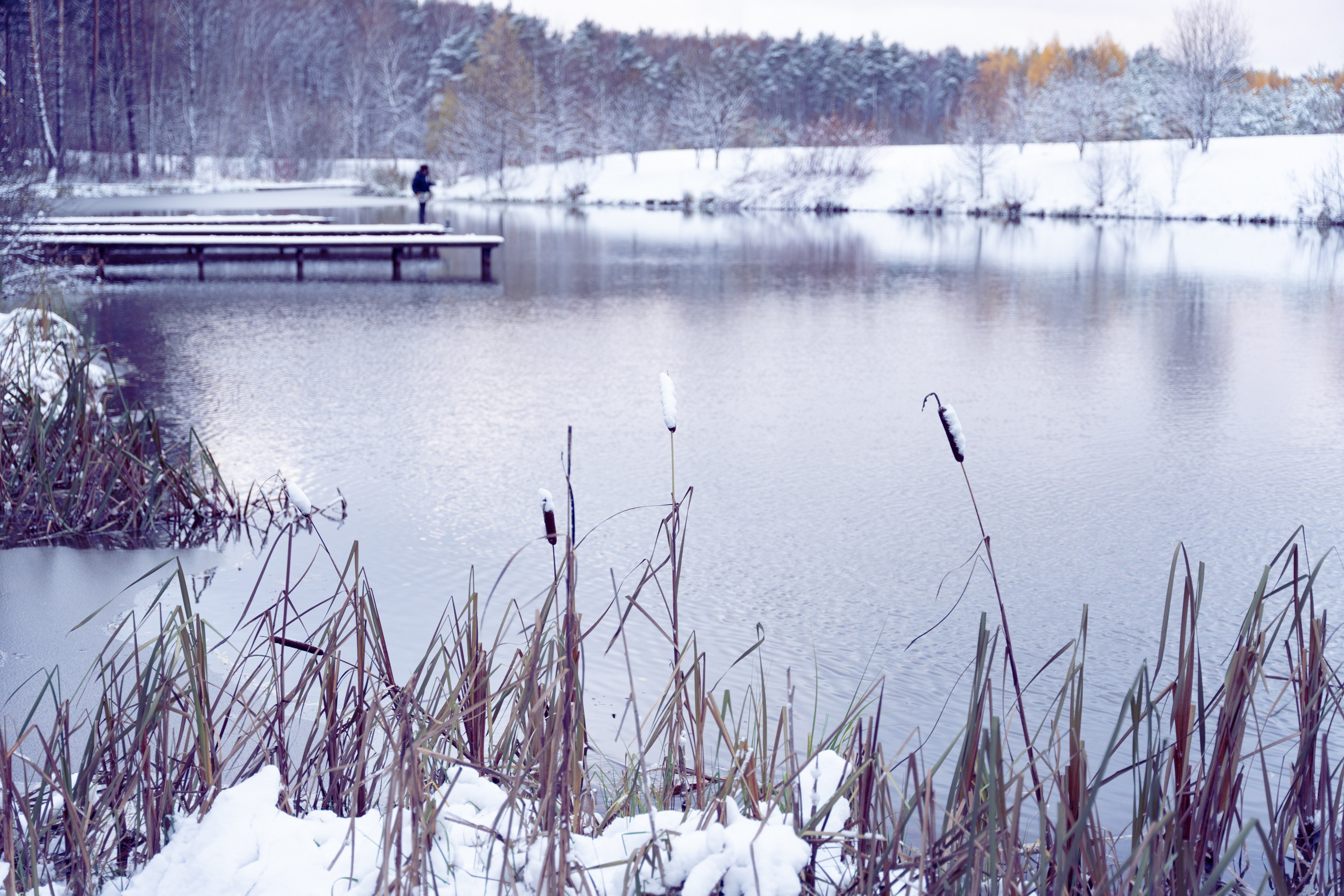 Мещерский парк. ПОБУДЬ ЗДЕСЬ И ЦЕЛЕЕ БУДЕТ ЭТОТ МИР