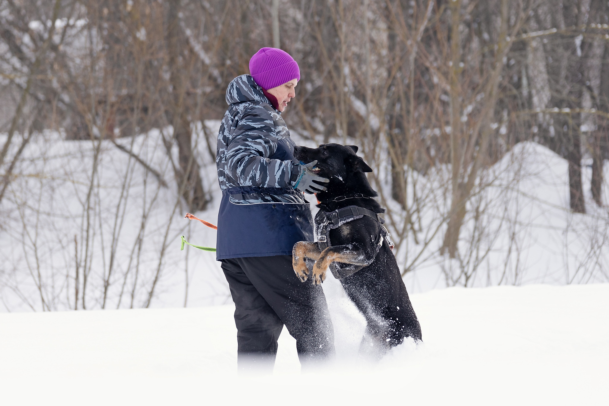 Репортажная съемка. Фотограф-анималист Нижний Новгород