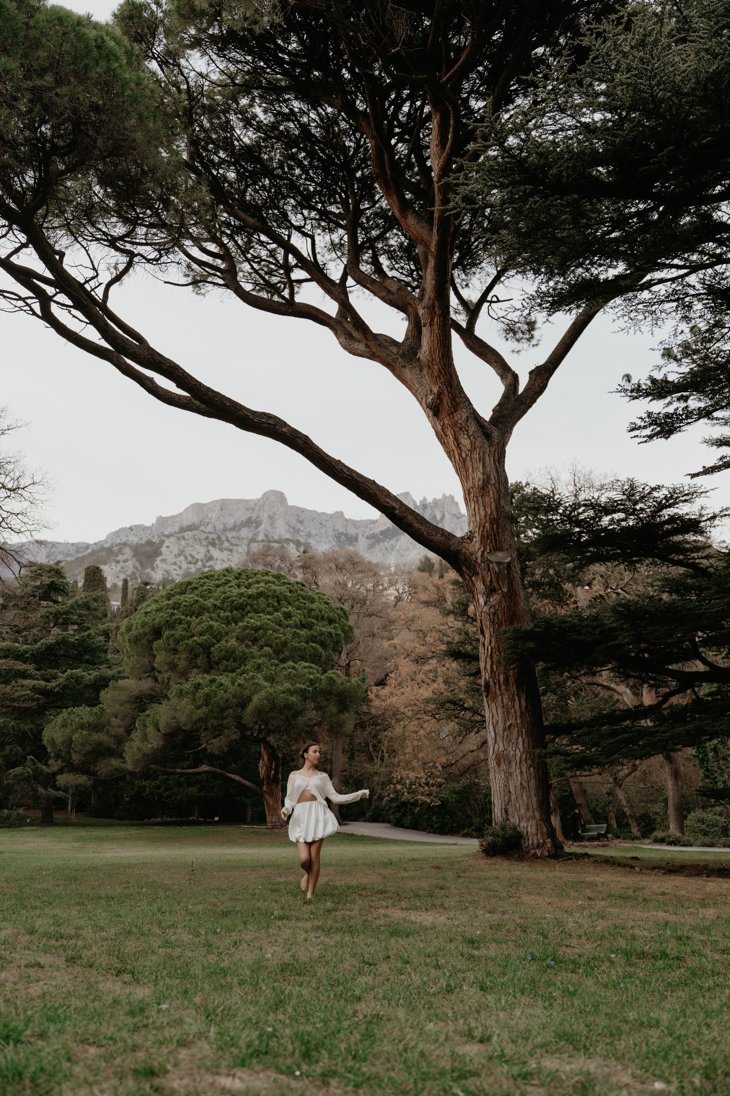 Под кроной вечности. Фотограф и Видеограф Севастополь Крым