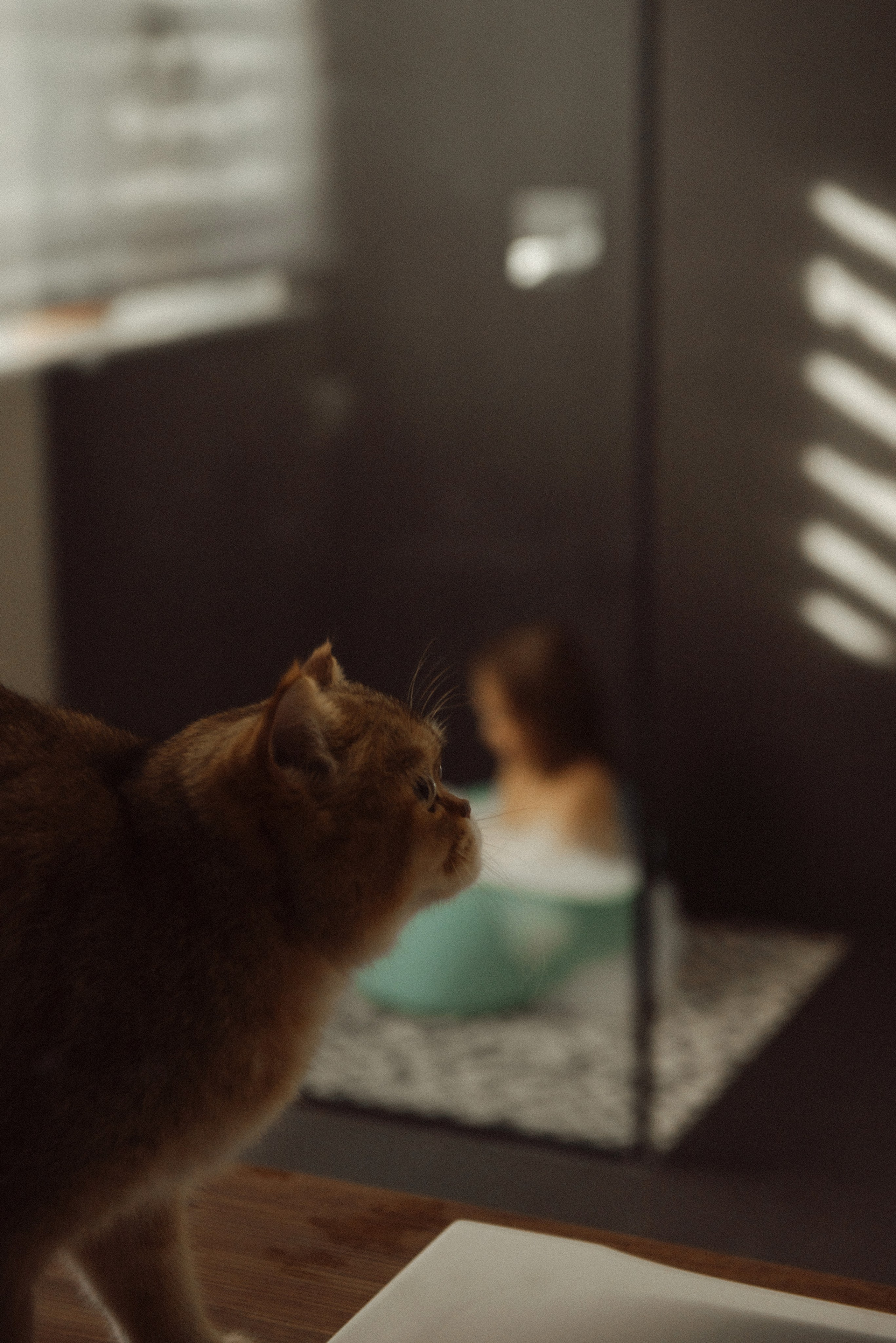 Юля, Аня и хвостики. Свадебный, портретный, фотограф беременности в Нижнем Новгороде Алина Зиновьева