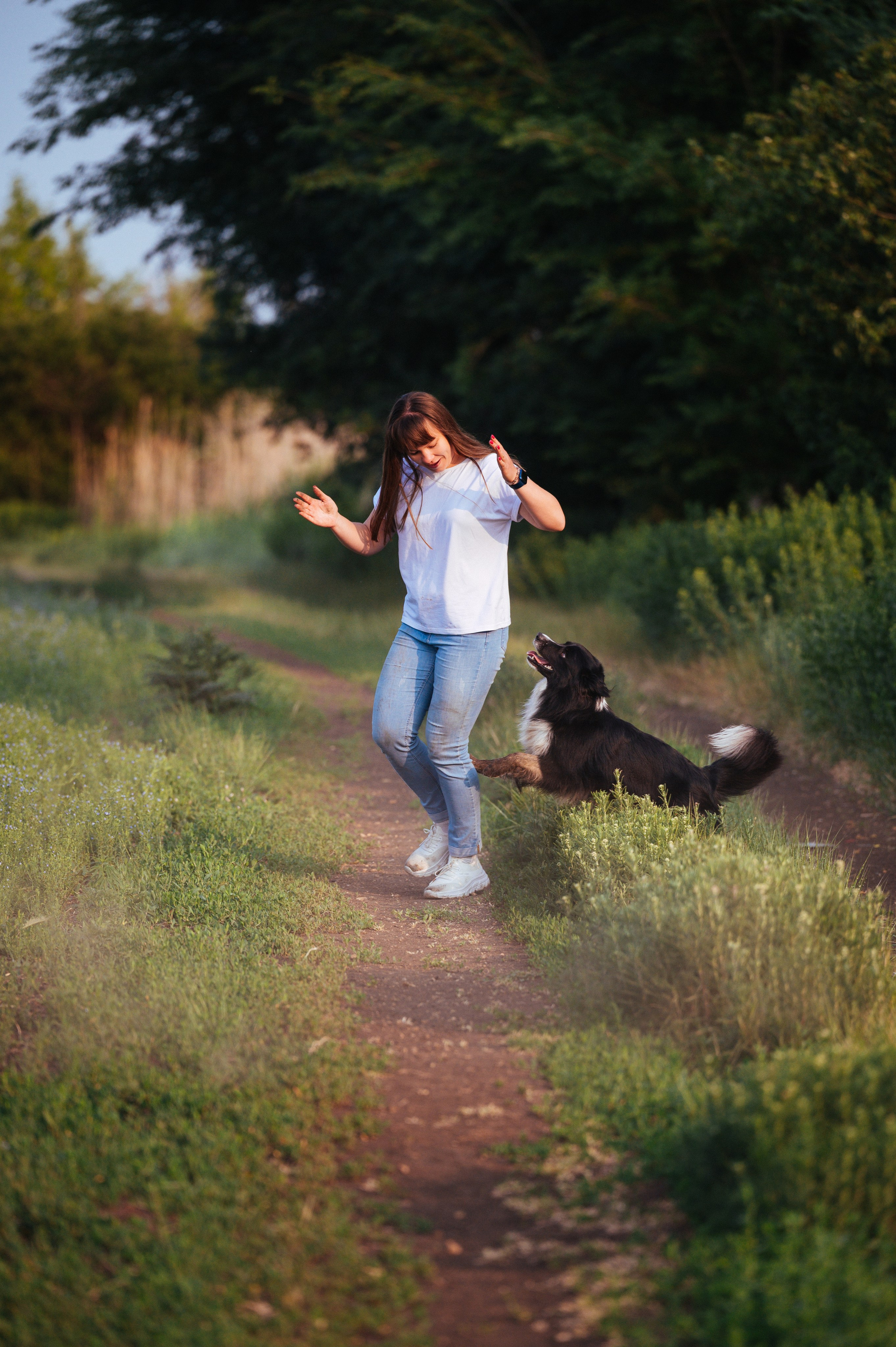 Прогулка на рассвете с бордер-колли. Фотограф в Ростове —на — Дону