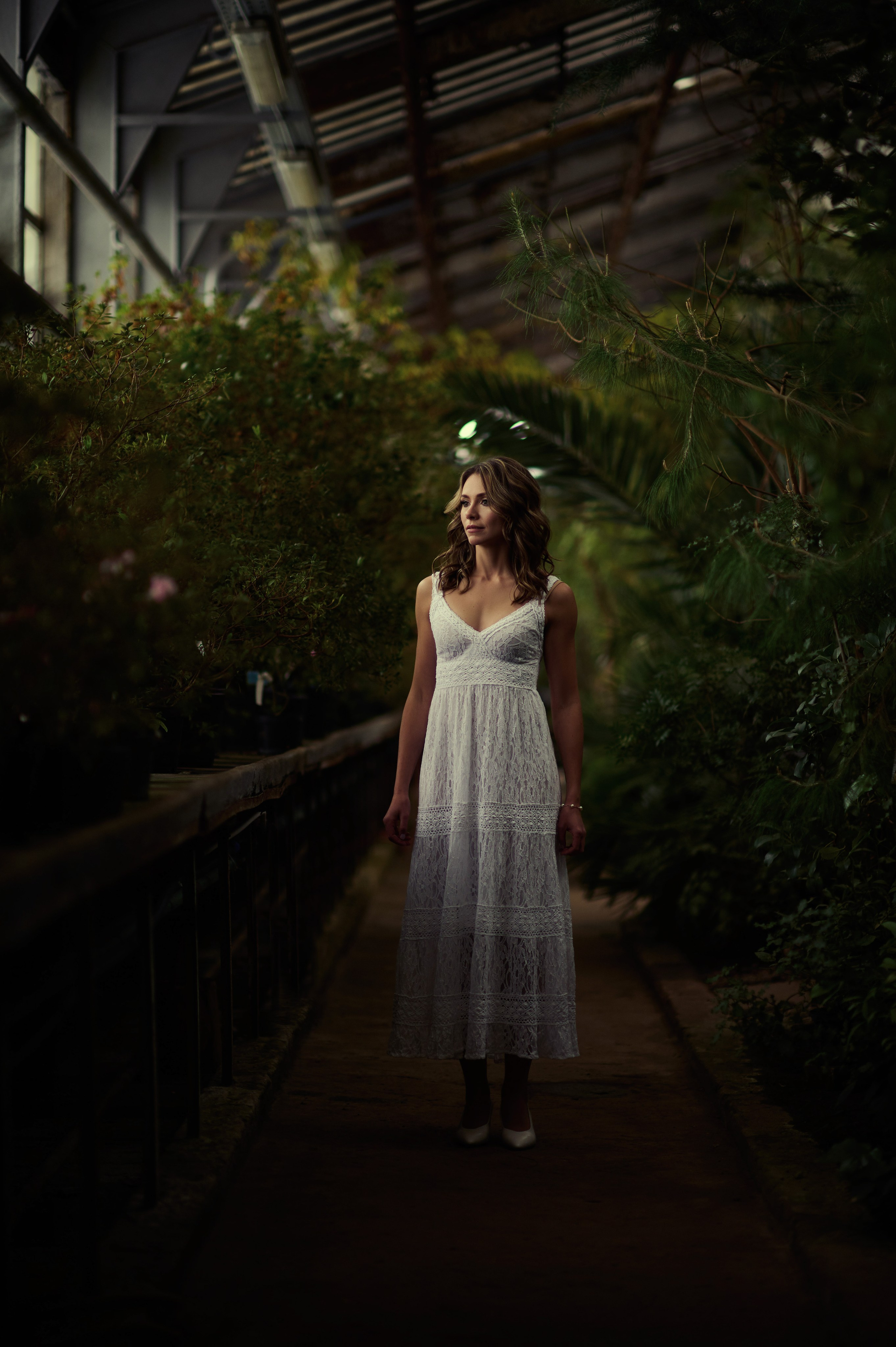 Свадьба, Илья, Алиса. Главная