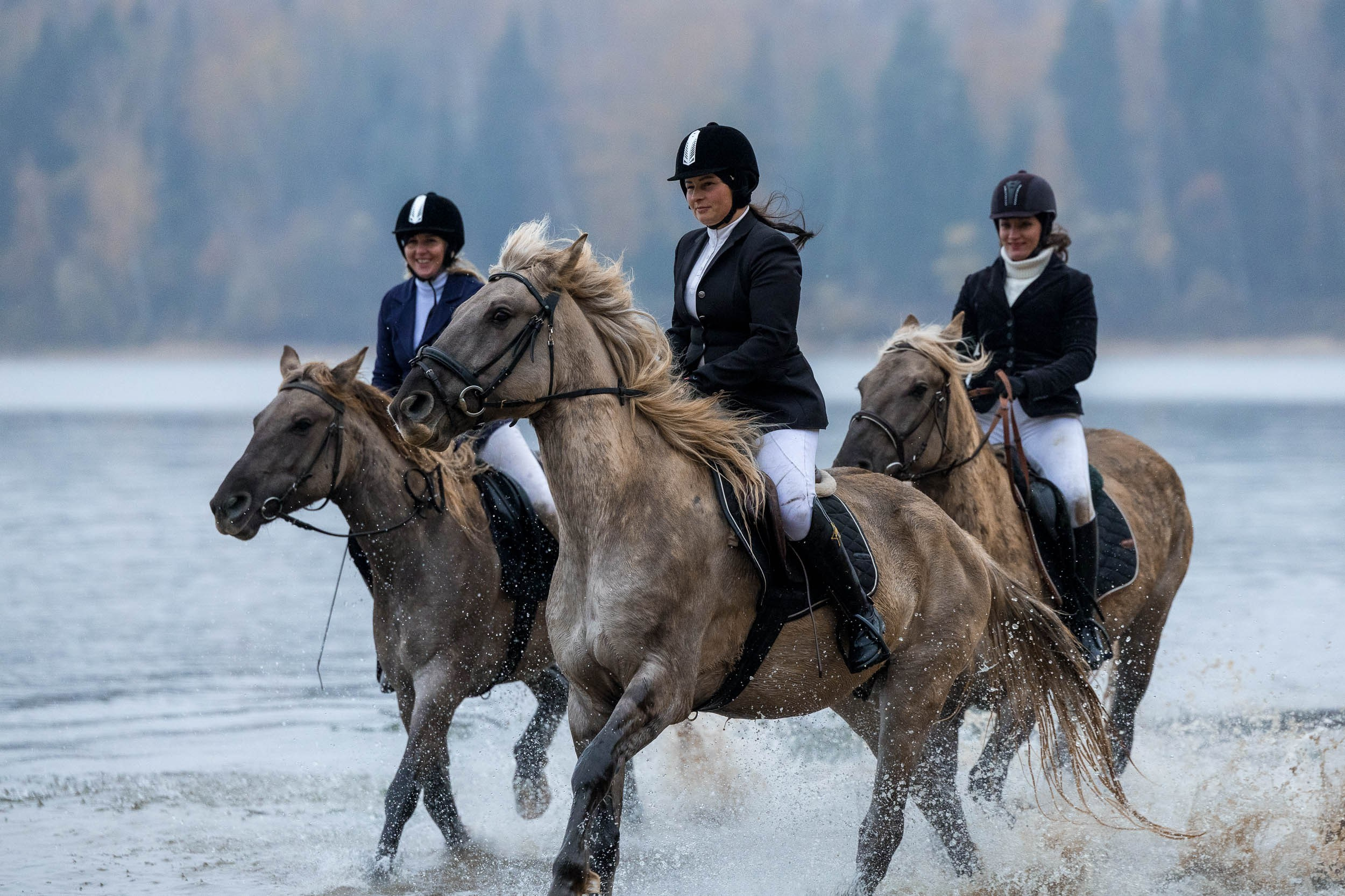 Охоты КТБ «Аванпост». Фотограф-анималист Юлия Удовенко