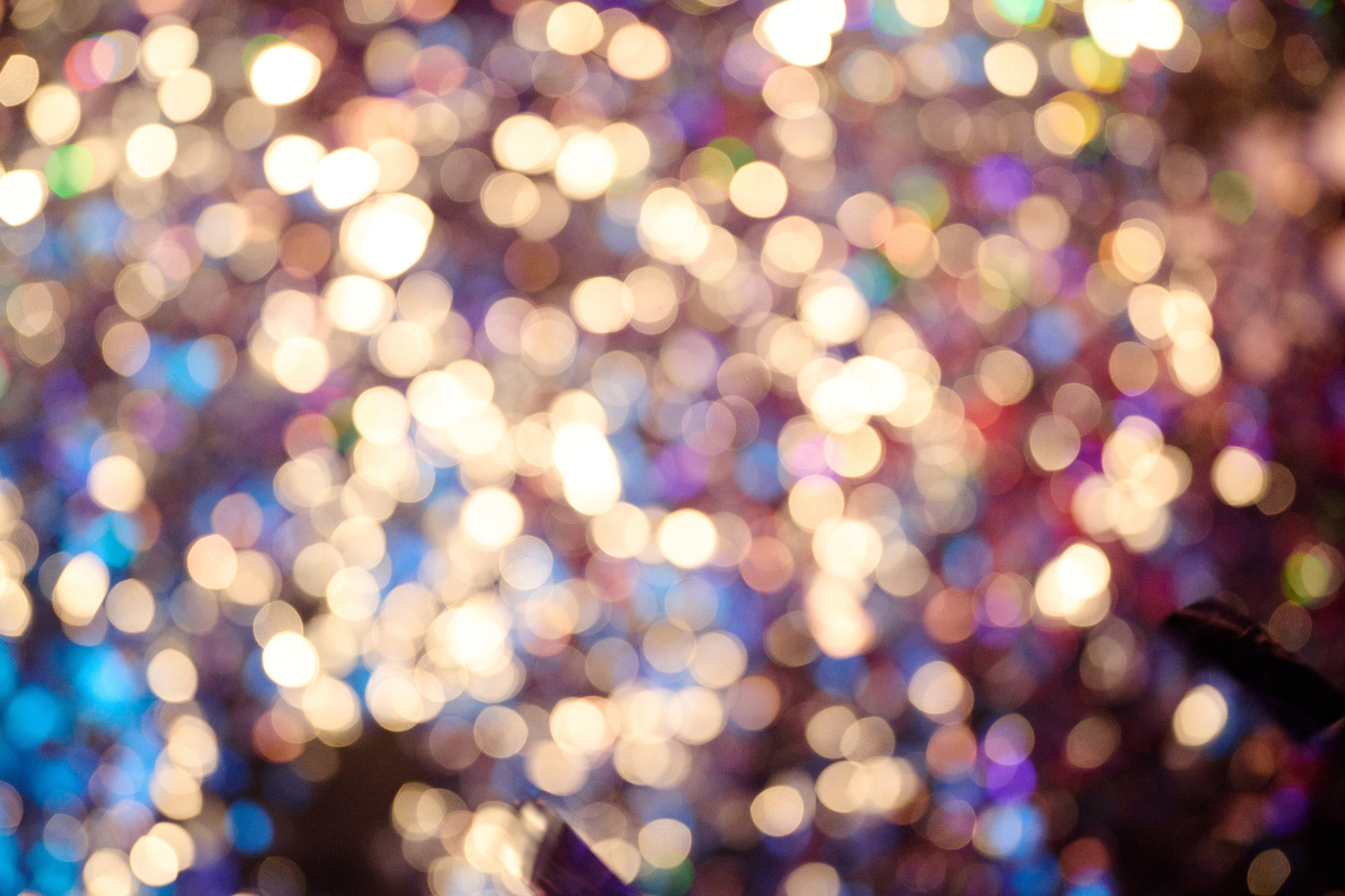 Strelka Bar. Фотограф