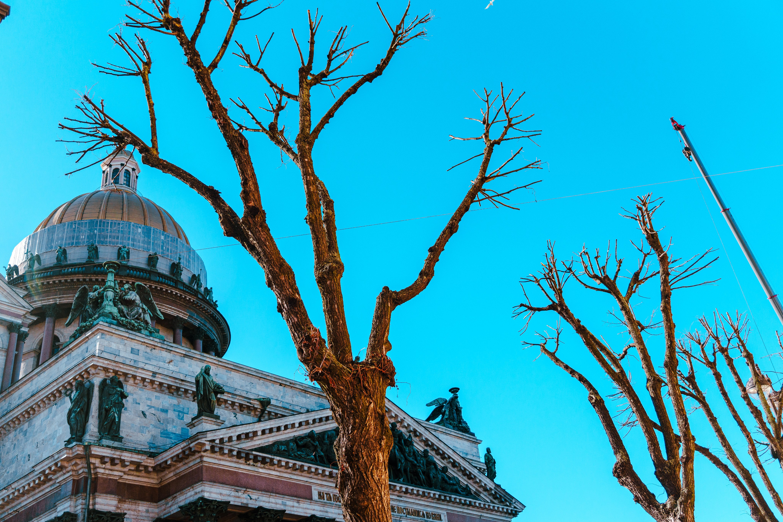 Санкт-Петербург. Фотограф в Санкт-Петербурге Ибрагимова Алина