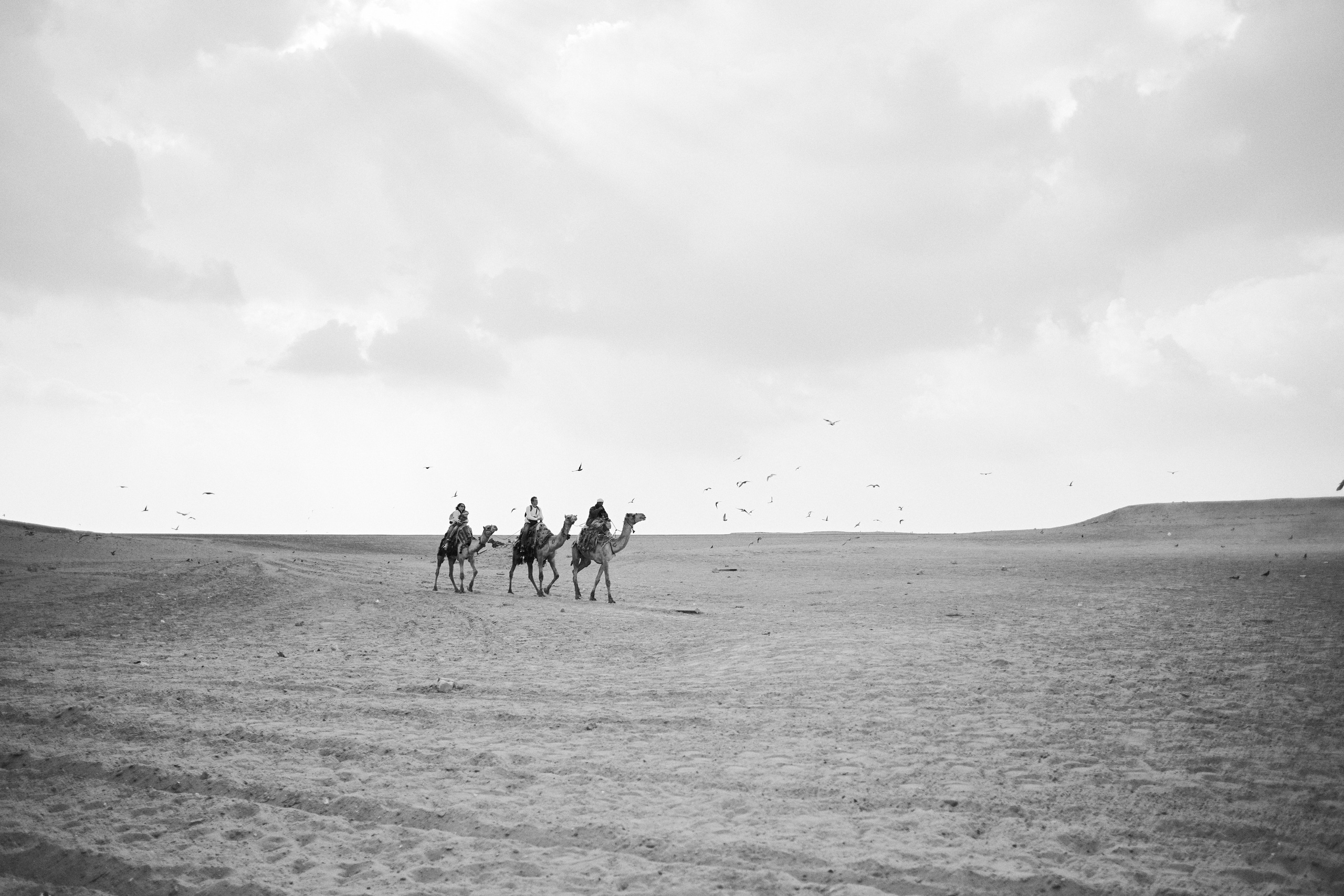 Другое 4. Jorgis — фотограф в Хургаде / обучение фотографии