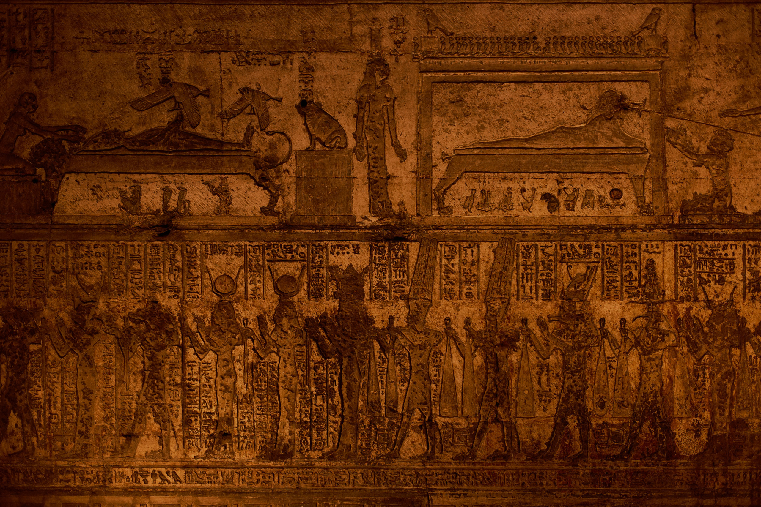 Другое 4. Jorgis — фотограф в Хургаде / обучение фотографии