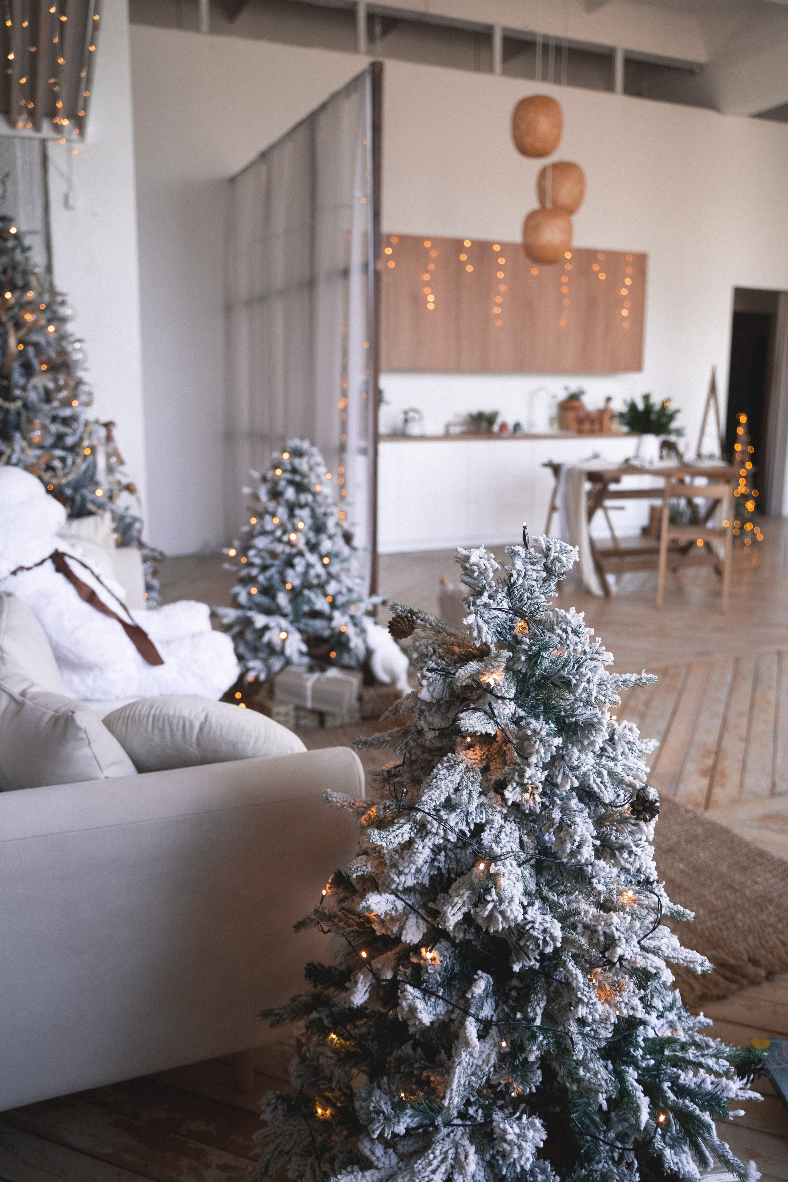 Зал Композиция. Фотограф г. Хабаровск. Семейные и индивидуальные съёмки