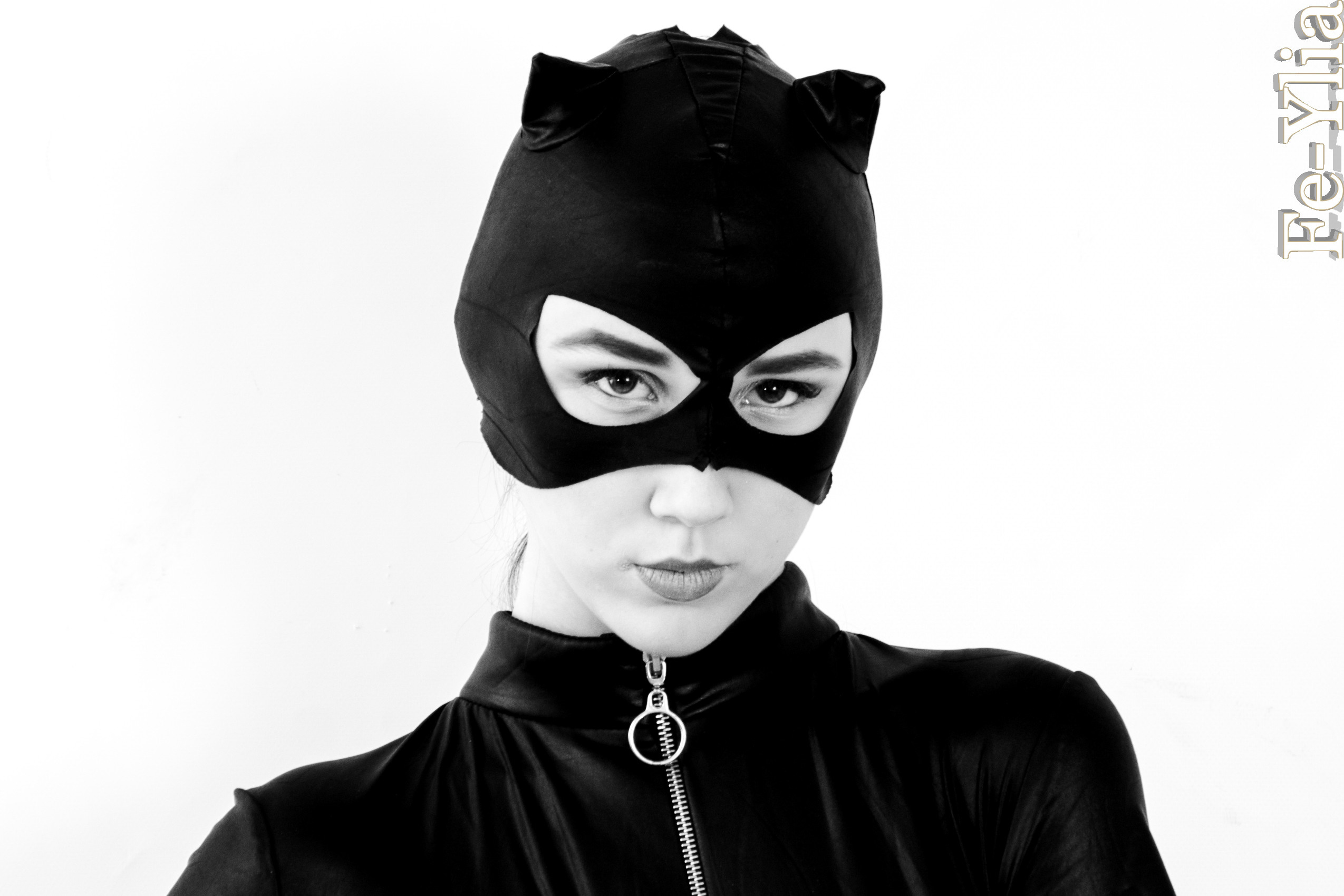 Кошка. Фотограф в РФ и ЛНР Юлия Федосеева