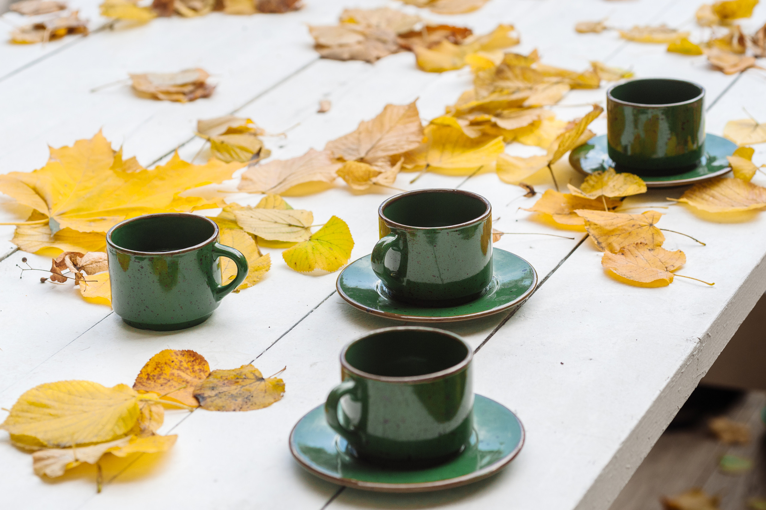 Готовимся к осенним фотопрогулкам. Семейный фотограф в Москве Елена Снегирева