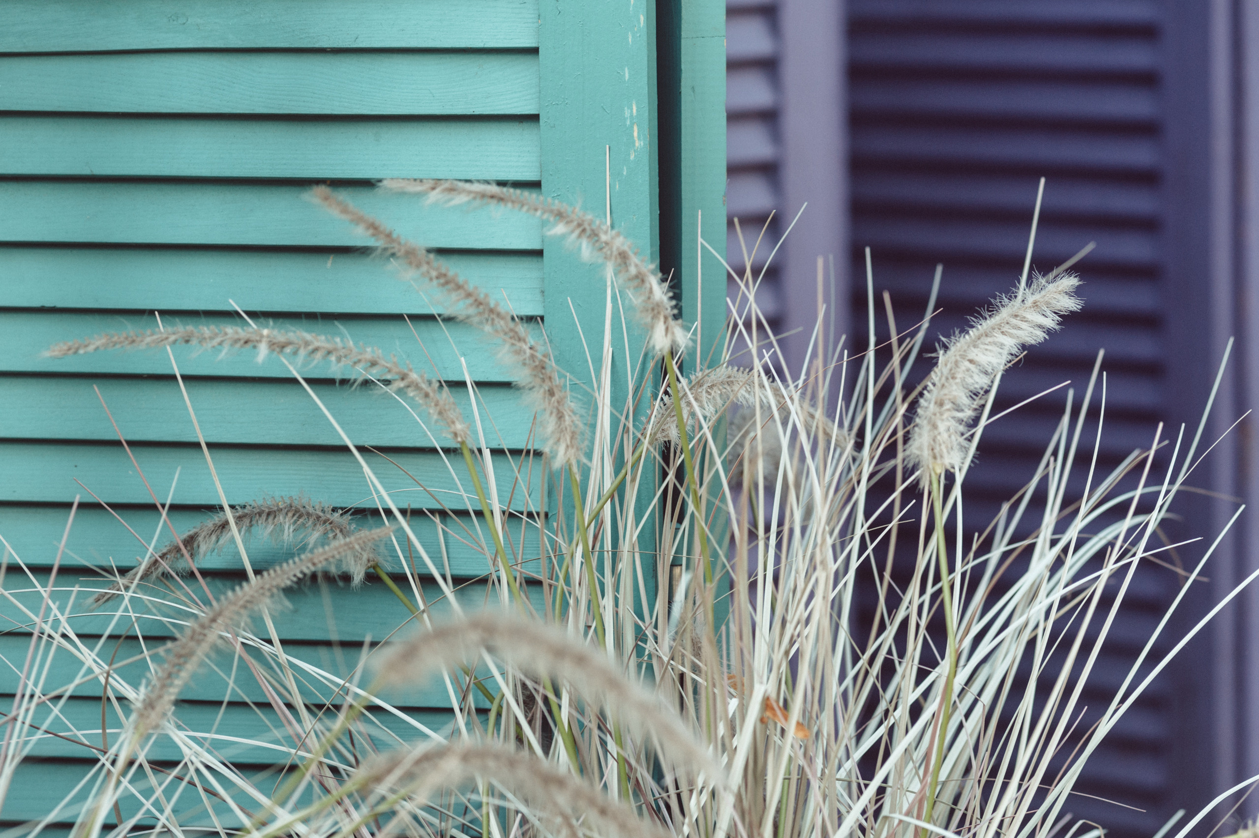 Семейная фотопрогулка на ВДНХ. Семейный фотограф в Москве Елена Снегирева