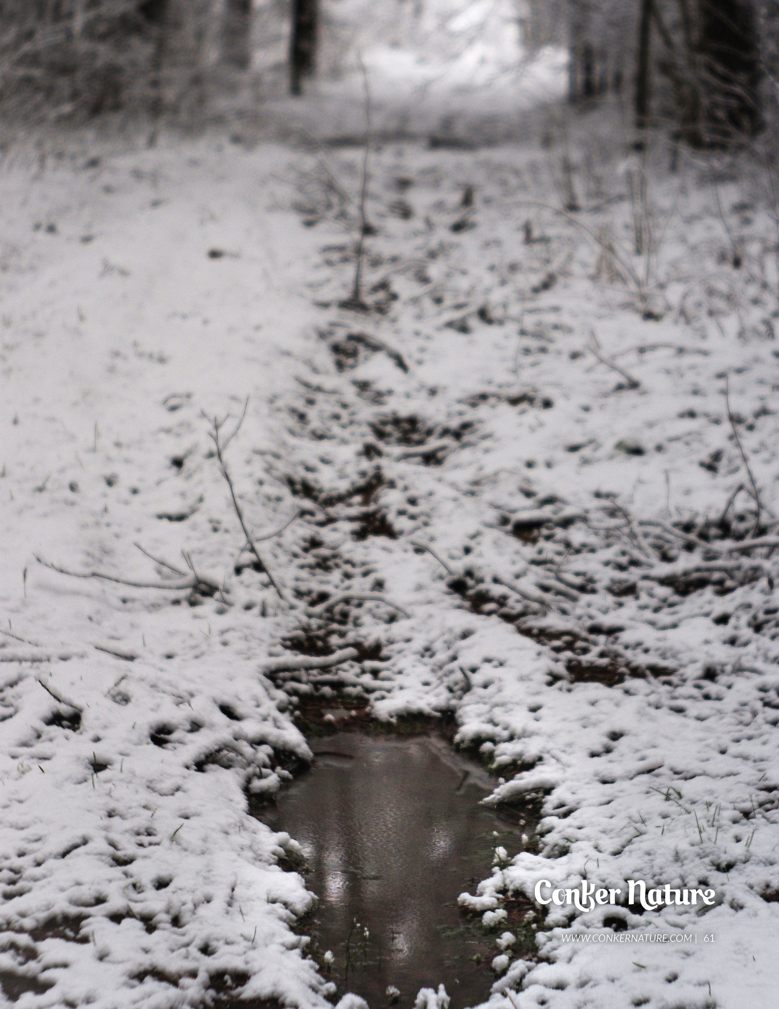 My publications in printed publications, magazines. Фотограф (photographer) Lischinski Vitaliy