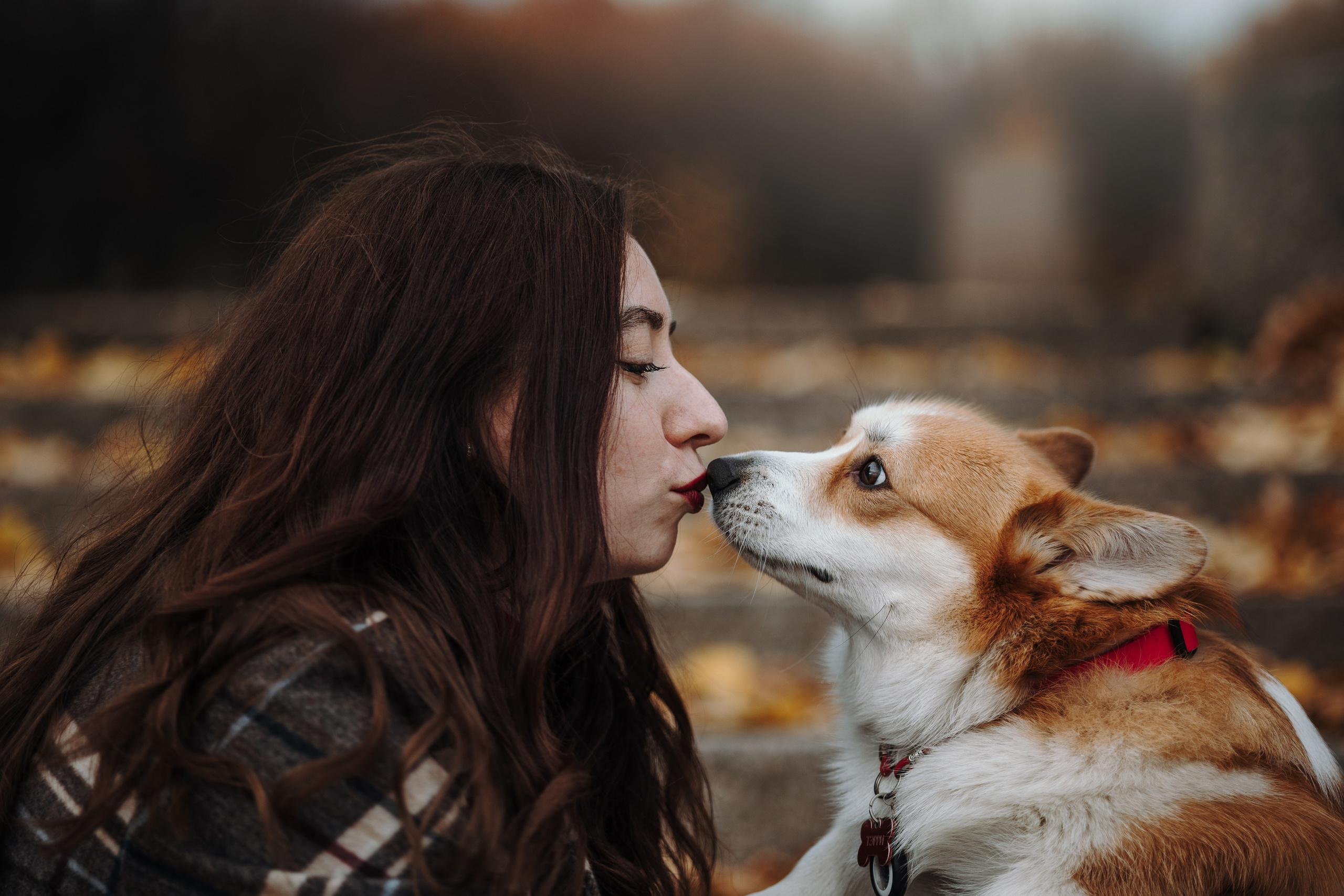 Юля и Терри. Фотограф — Анималист | Санкт-Петербург