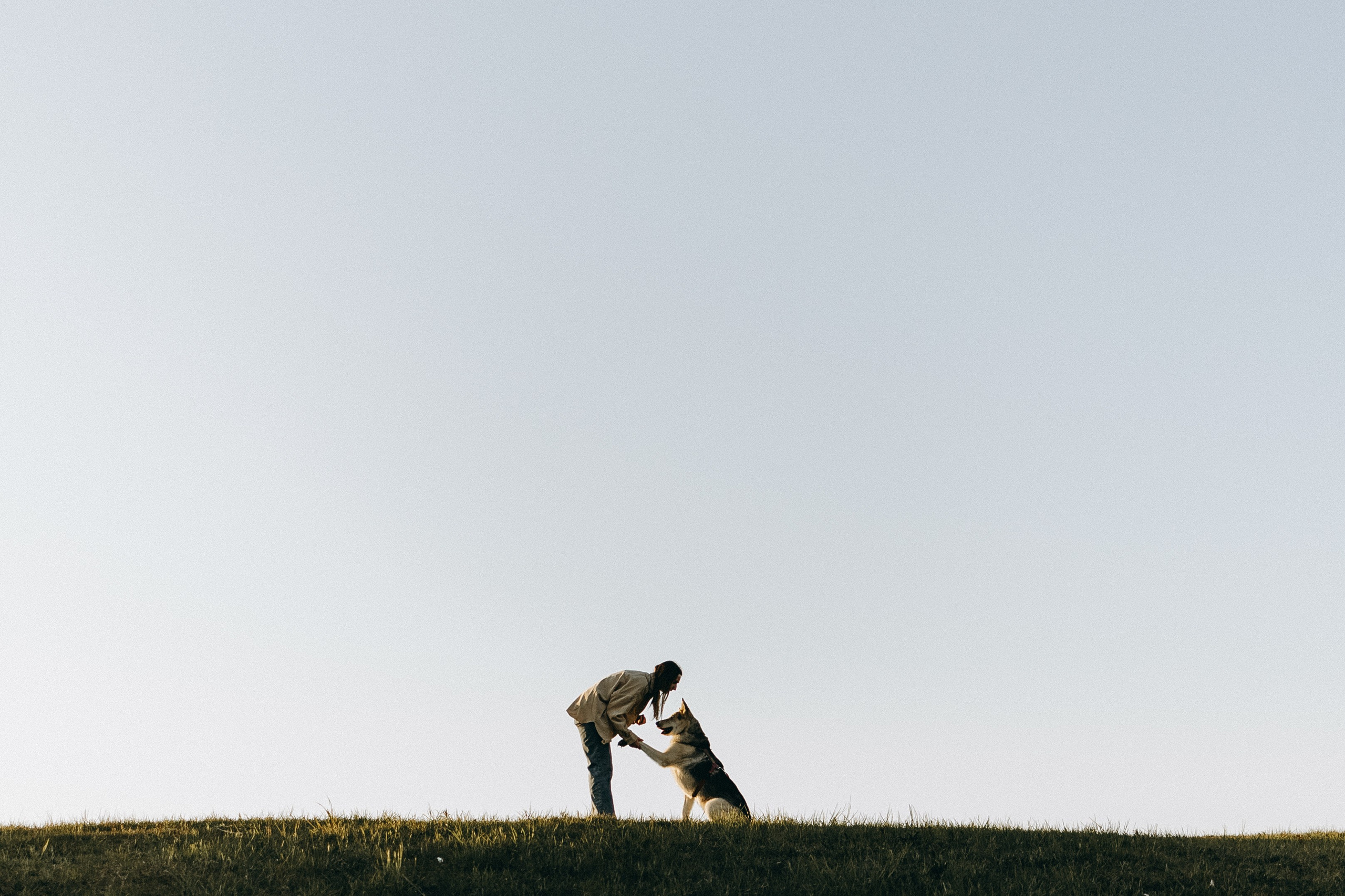 Саша и Зельда. Фотограф — Анималист | Санкт-Петербург