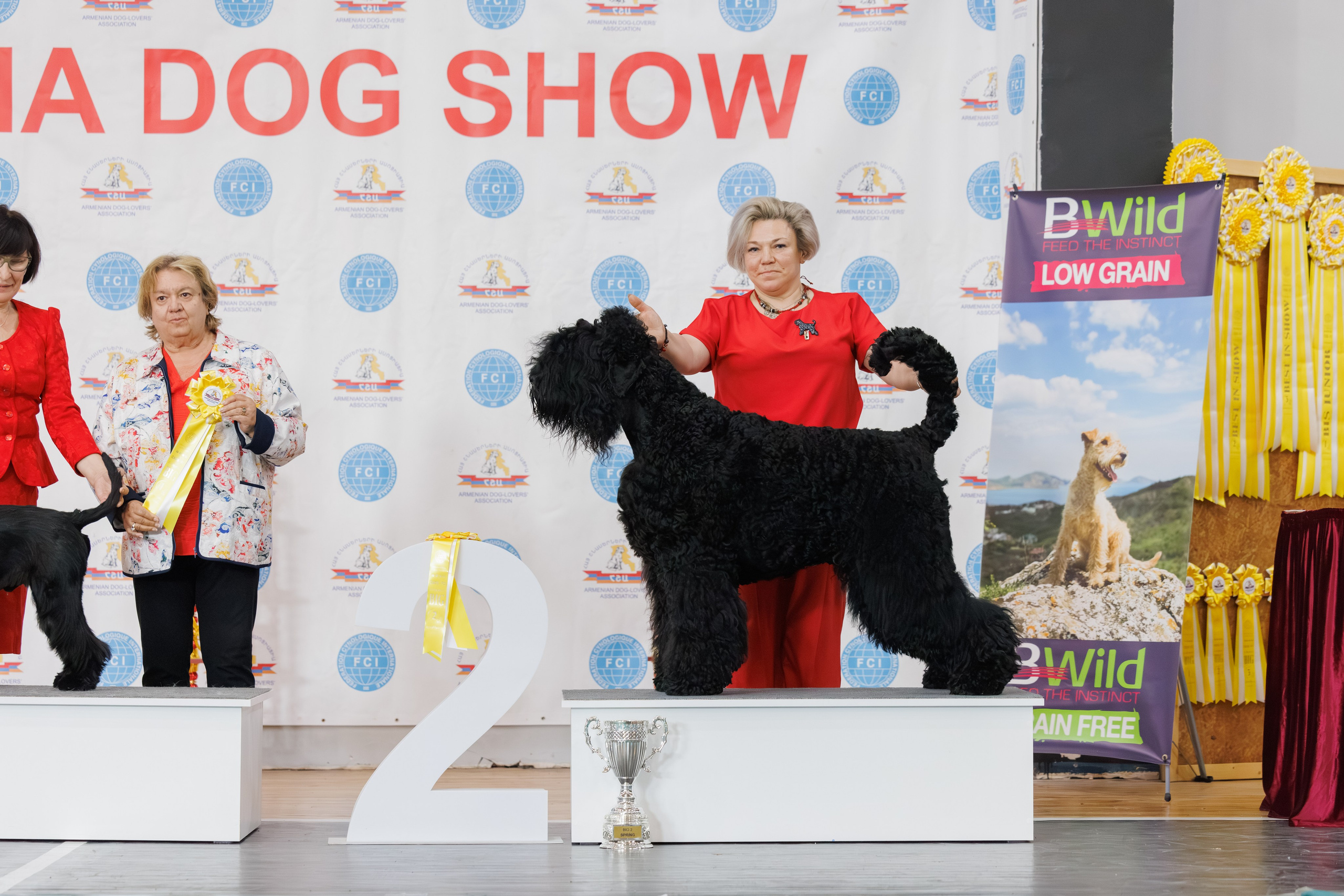 Ереван 2х CACIB 29-30.04.2025. Фотограф-анималист Юлия Германика