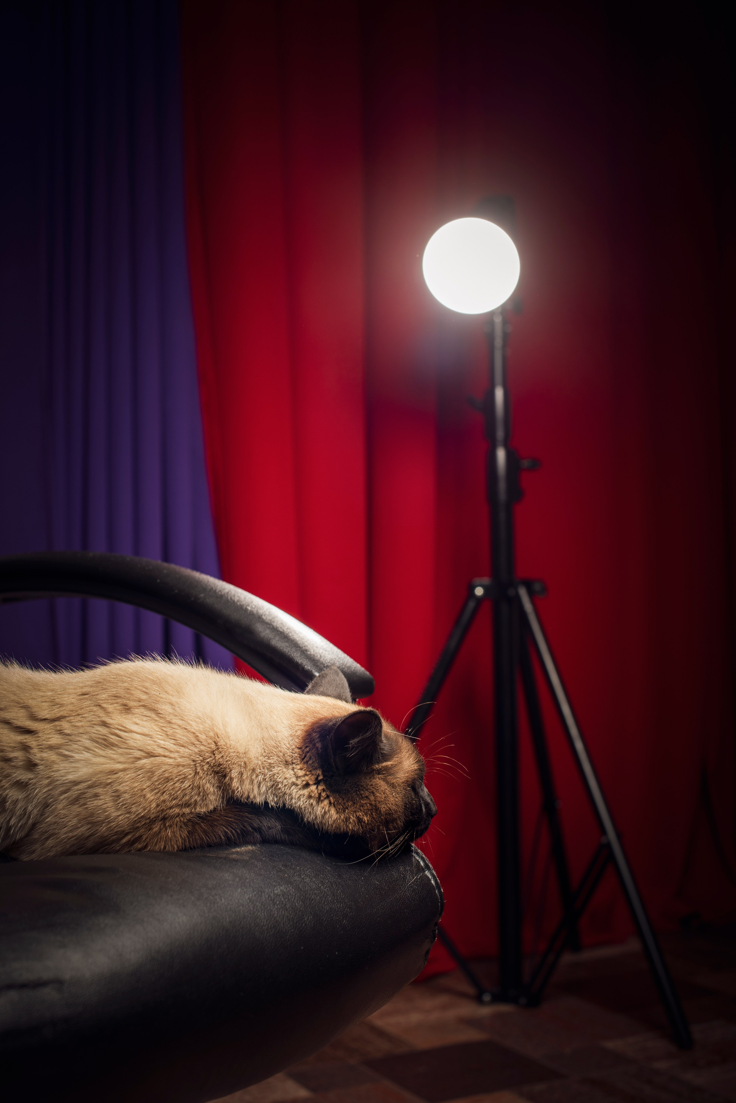 Разное. Школьный и свадебный фотограф в г. Бодайбо Артём Бельский