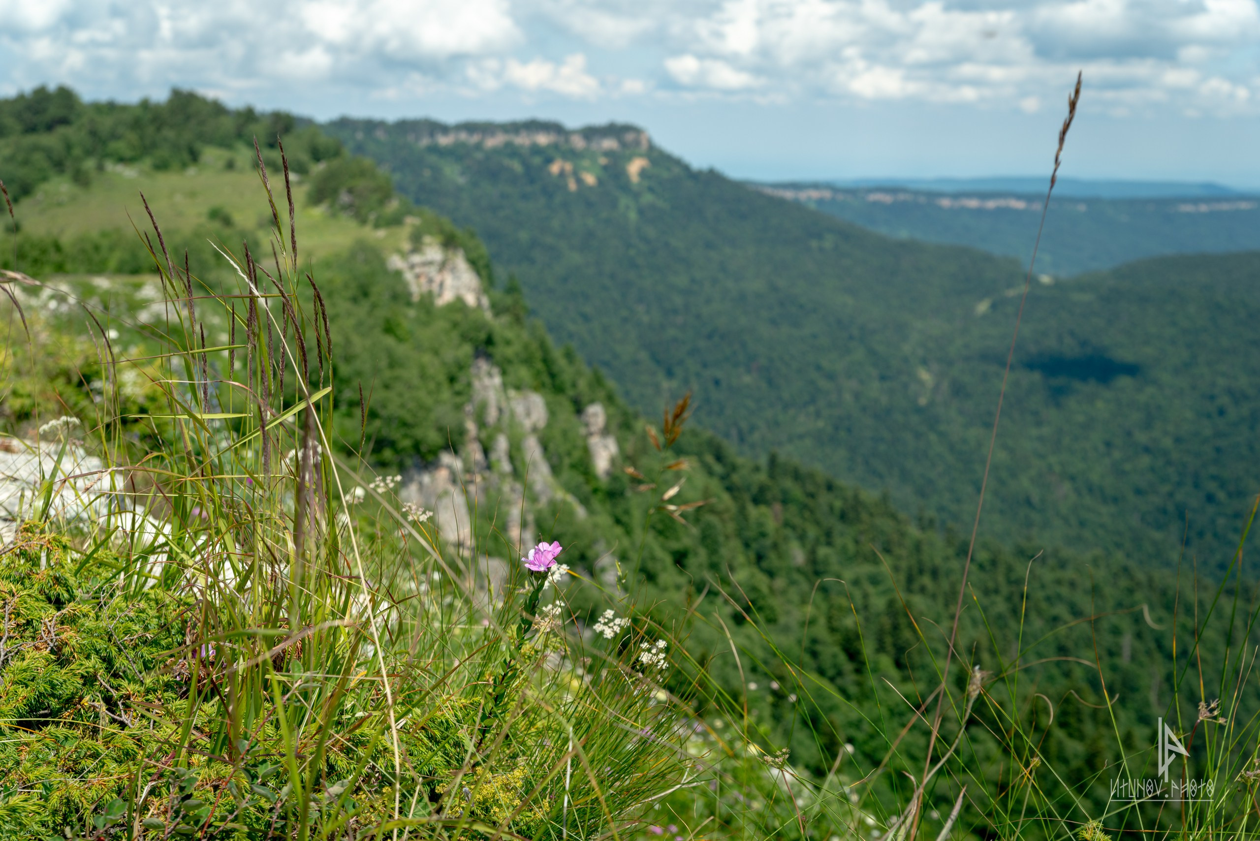 Адыгея. Спортивный и репортажный фотограф Дмитрий Литунов Москва