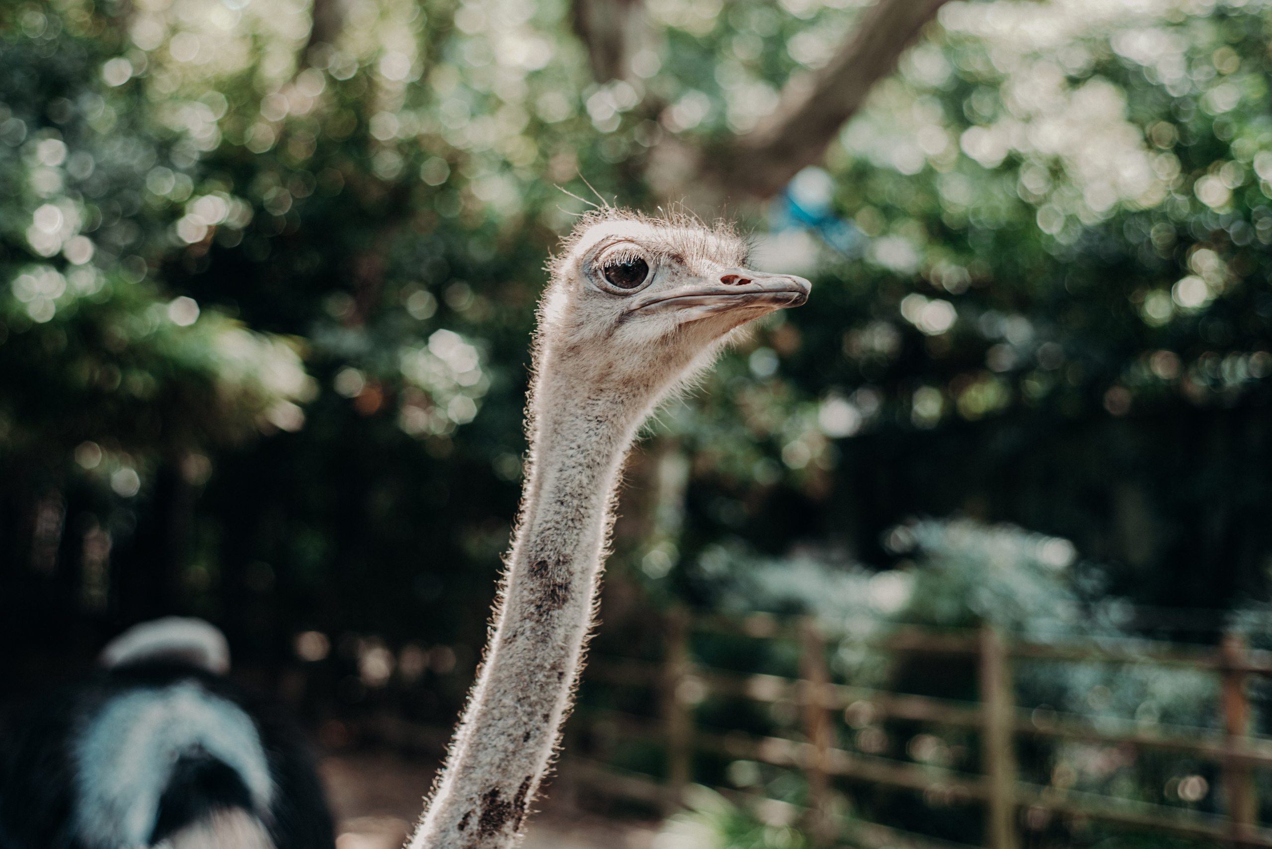 Рекламный фотограф из Гуанчжоу: вдохновение в улицах Шанхая. Коммерческий и предметный фотограф в Гуанчжоу Коваленко Александр