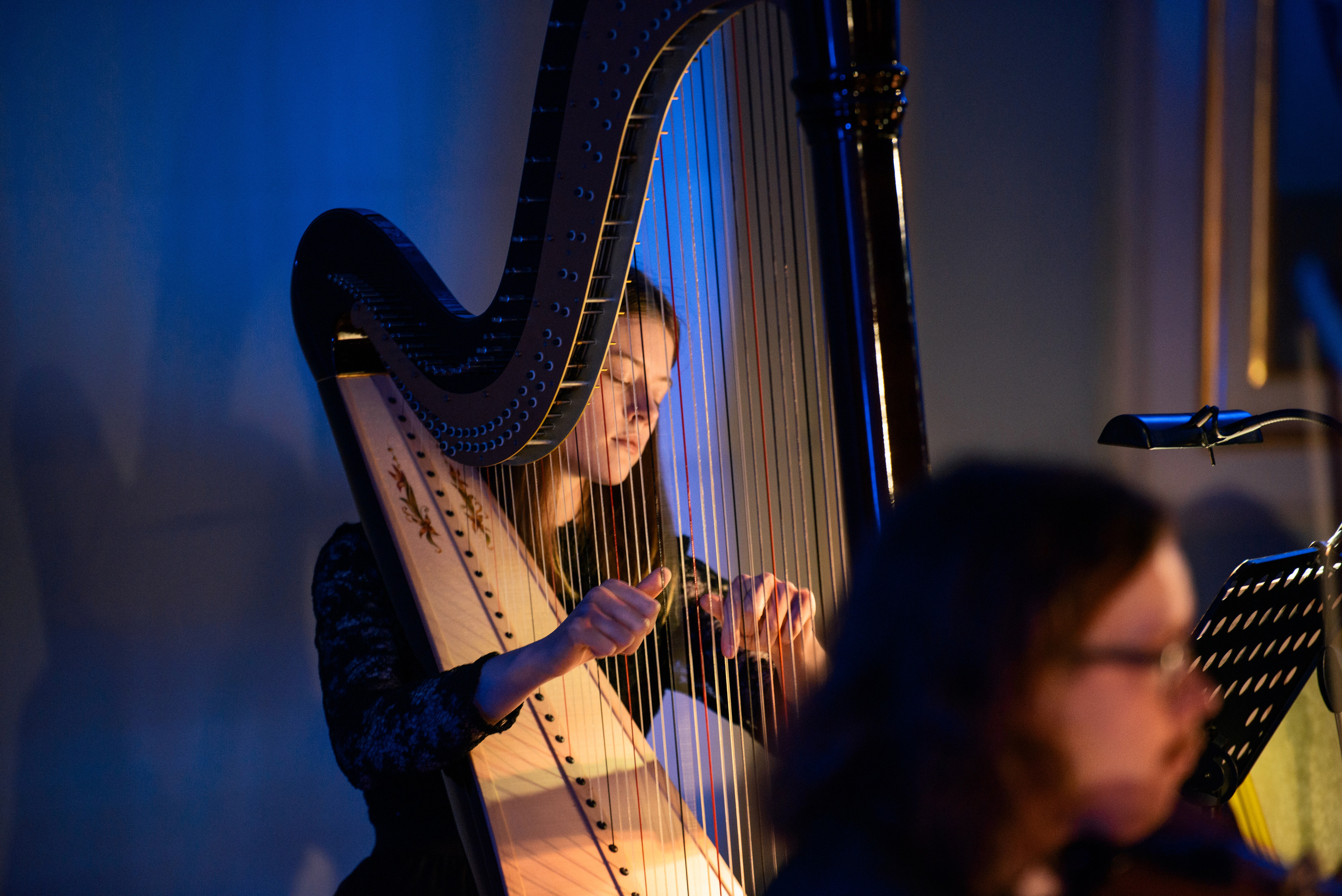 Концерты. Фотограф Сергей Ловчий (Москва)