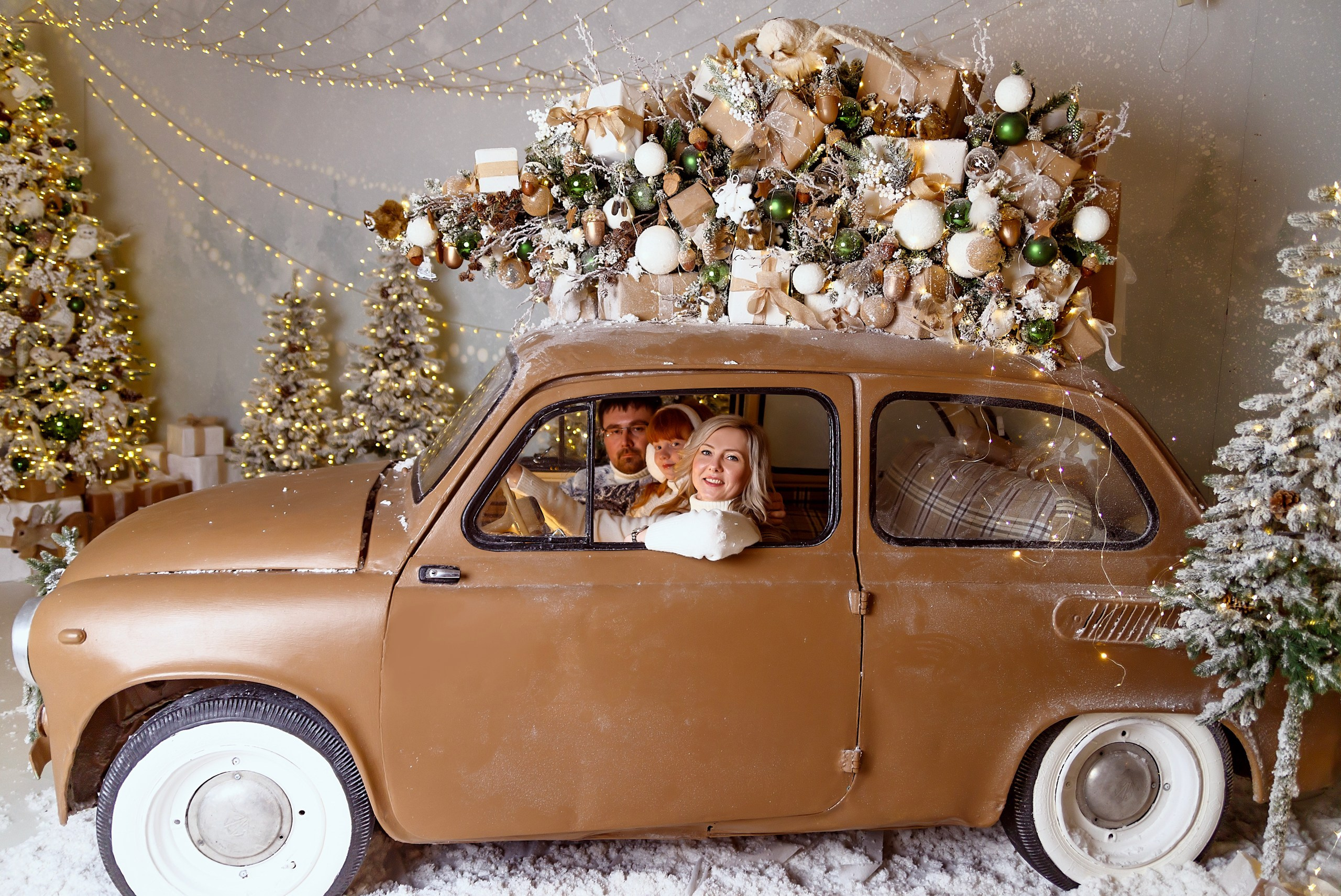 Новогодняя фотосессия. Семейный, свадебный и детский фотограф в Новосибирске Ольга Хидченко