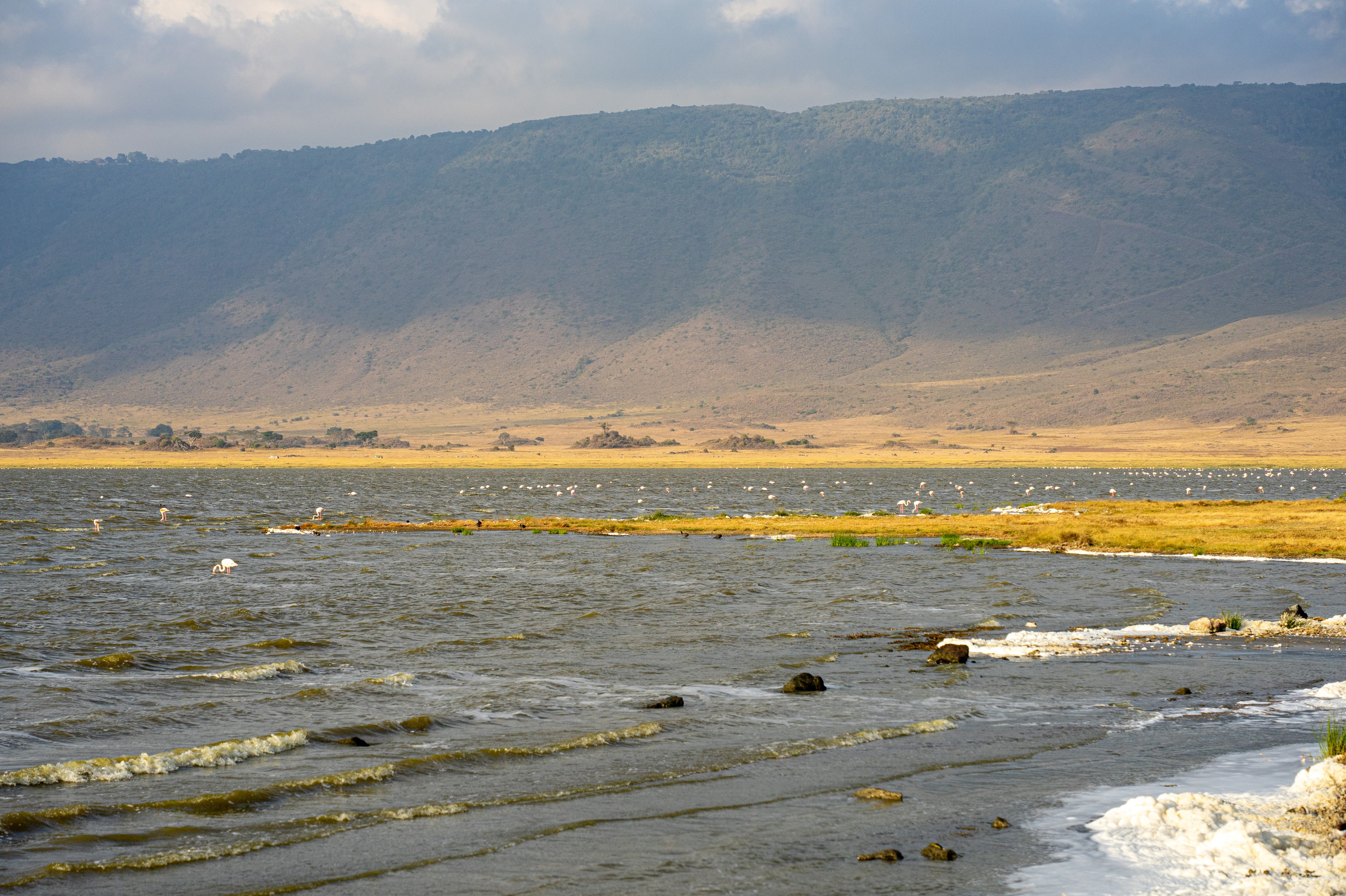 Танзания, сафари, 2025. Творческие сьемки