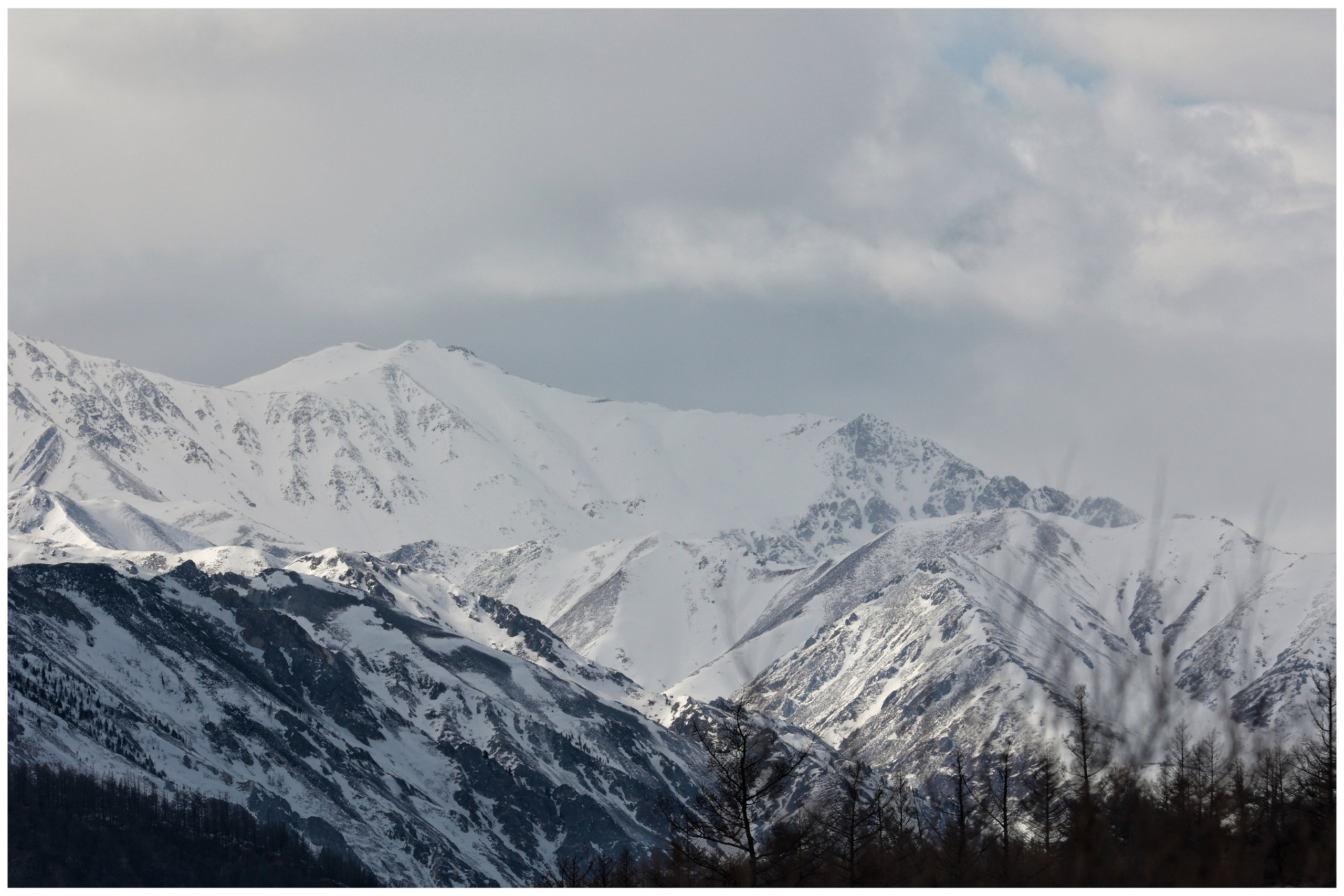 2024. Тащилин Сергей. Фотографии. Жизнь. Хобби