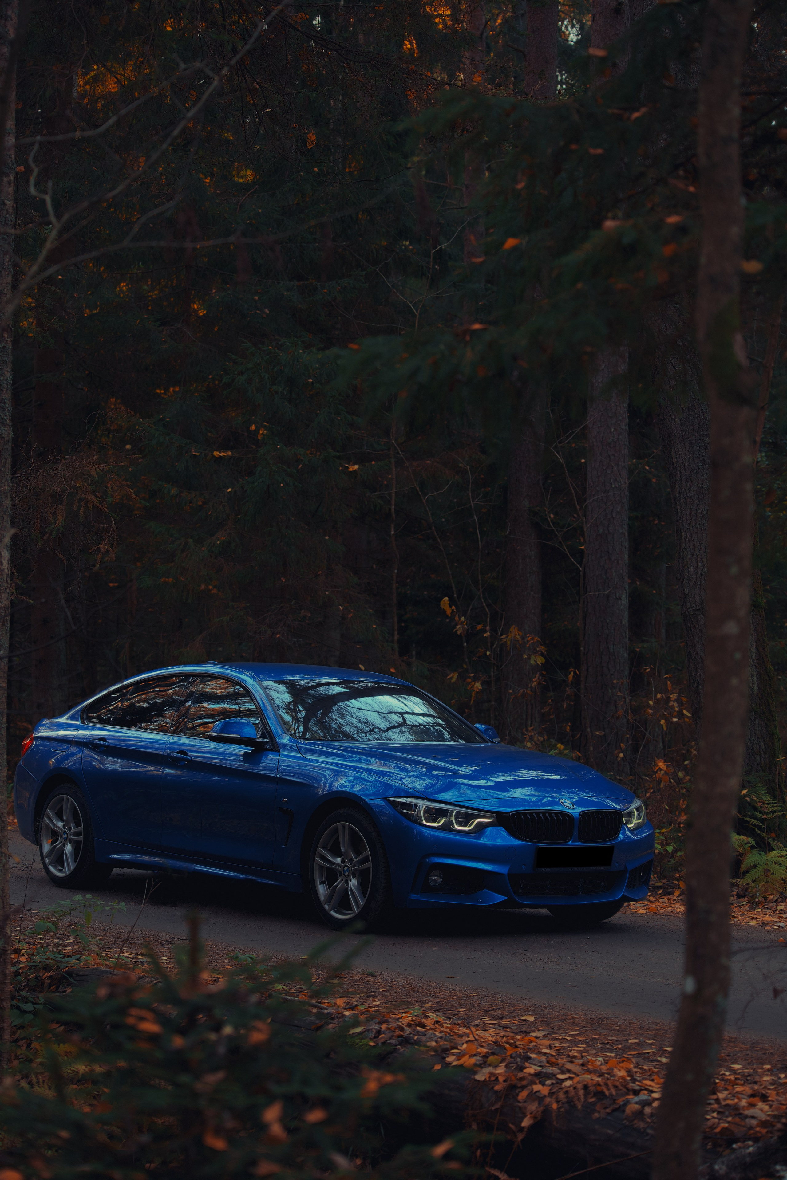 BMW 4 GranCoupe. Портретный и автомобильный фотограф в Санкт-Петербурге Евгений Черепанов