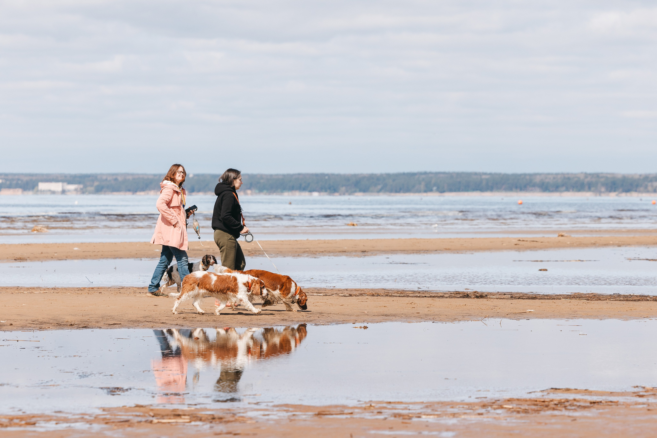 Спанимания. Фотограф анималист Осипчикова Мария