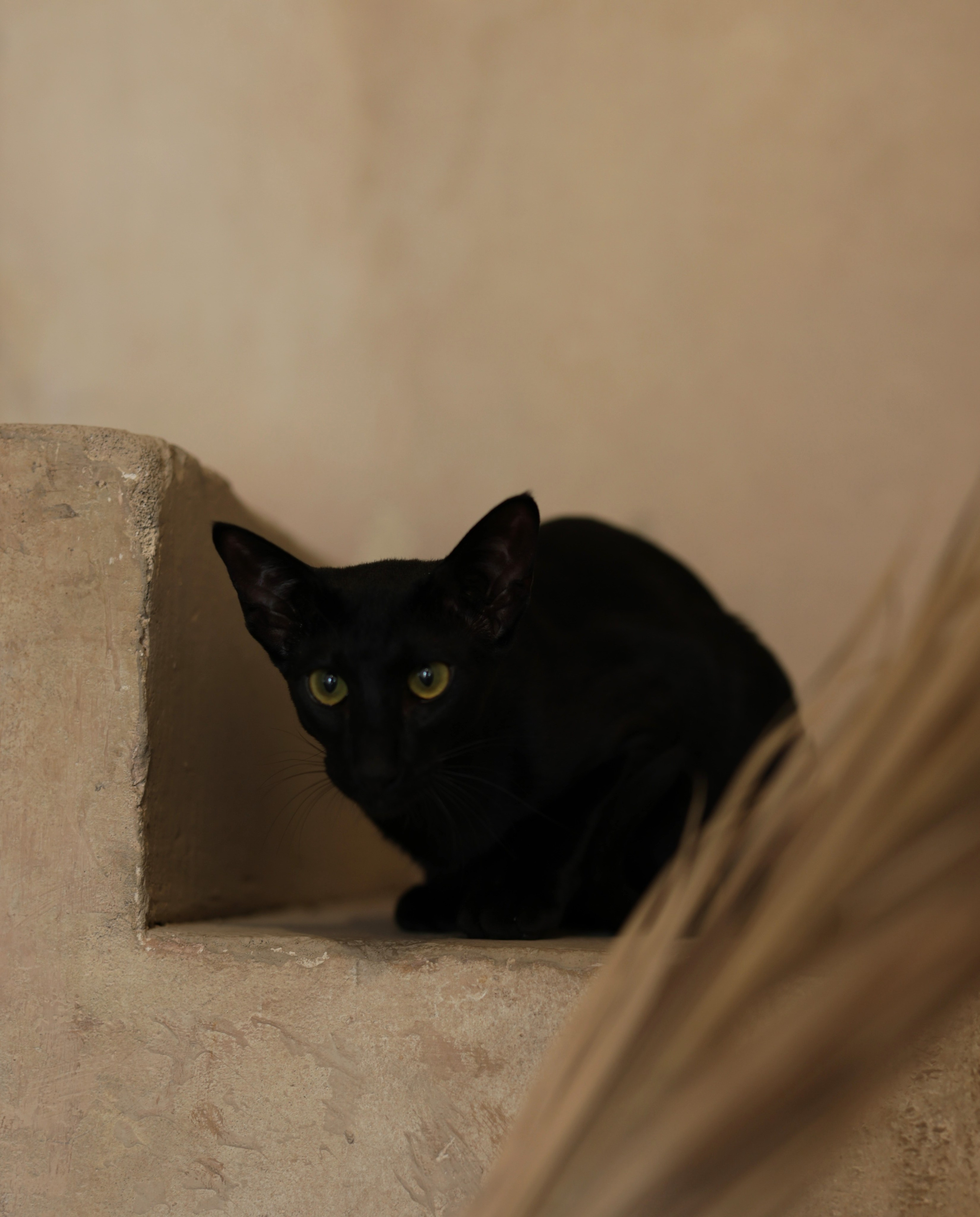 Диана. Фотограф Екатерина Васечкина