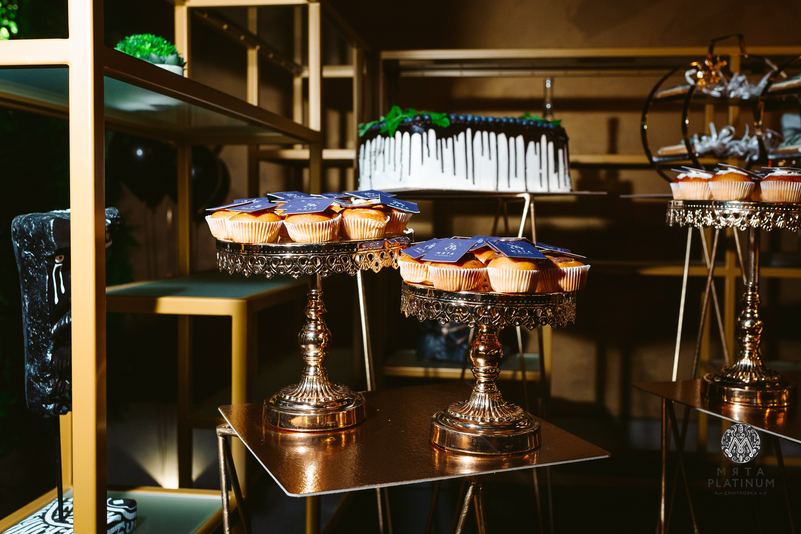 Myata Platinum. Свадебный Фотограф в Москве Гор Магтагян