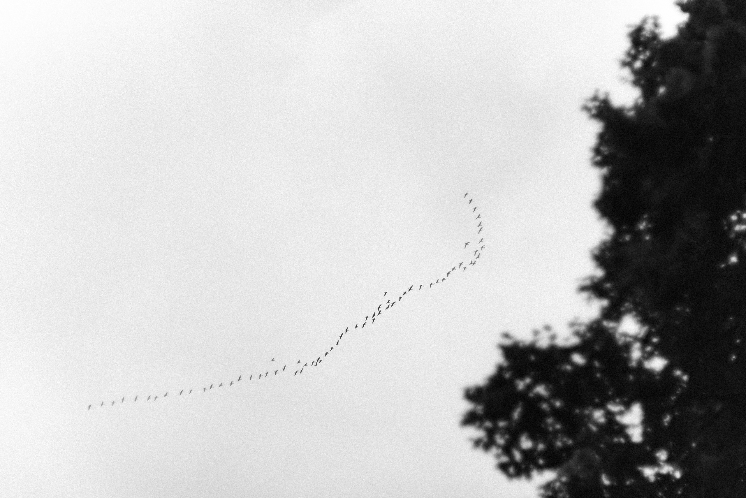 Autumn. Свадебный фотограф Санкт-Петербург DanyaPhotoart