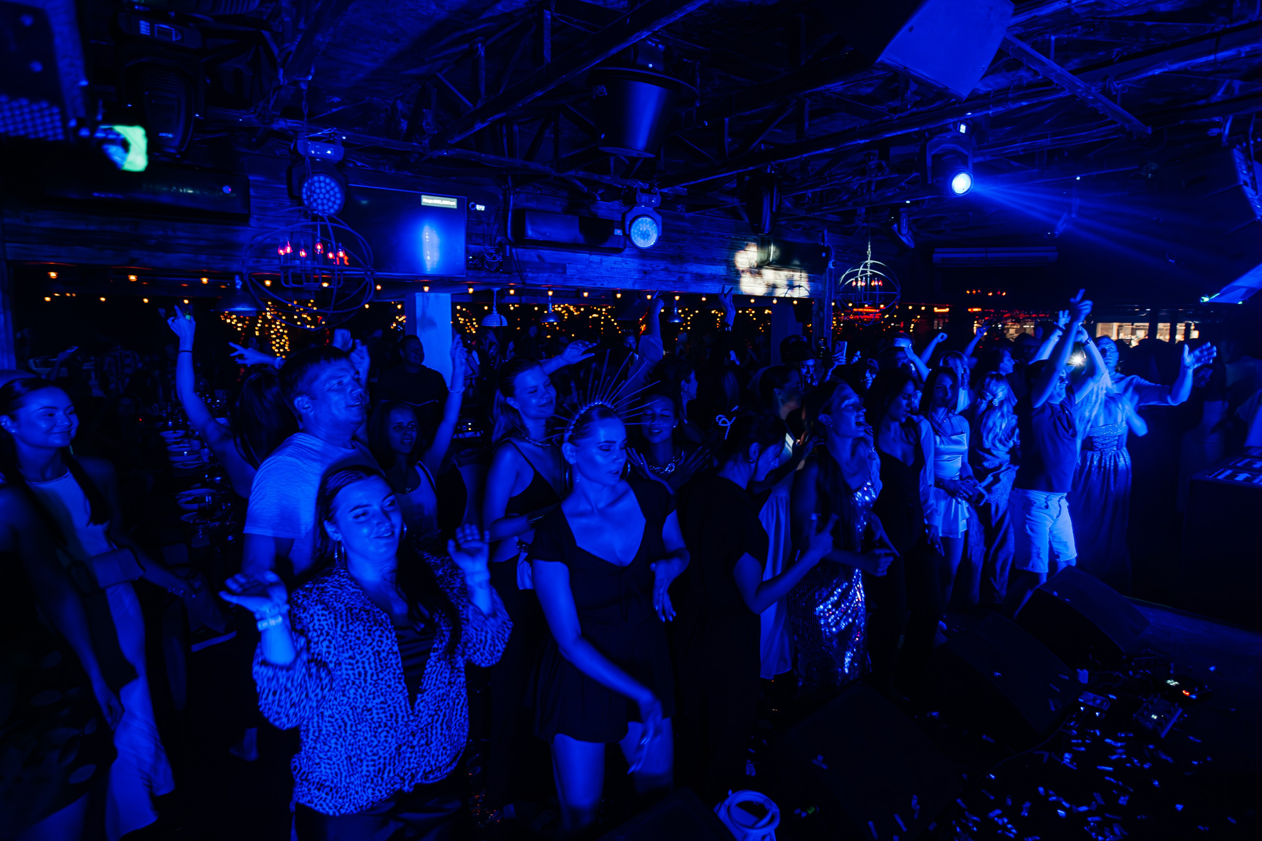 Чайка_на_пляже_Андро_Ялта_24.08.2024. Аминов Руслан | Фотограф