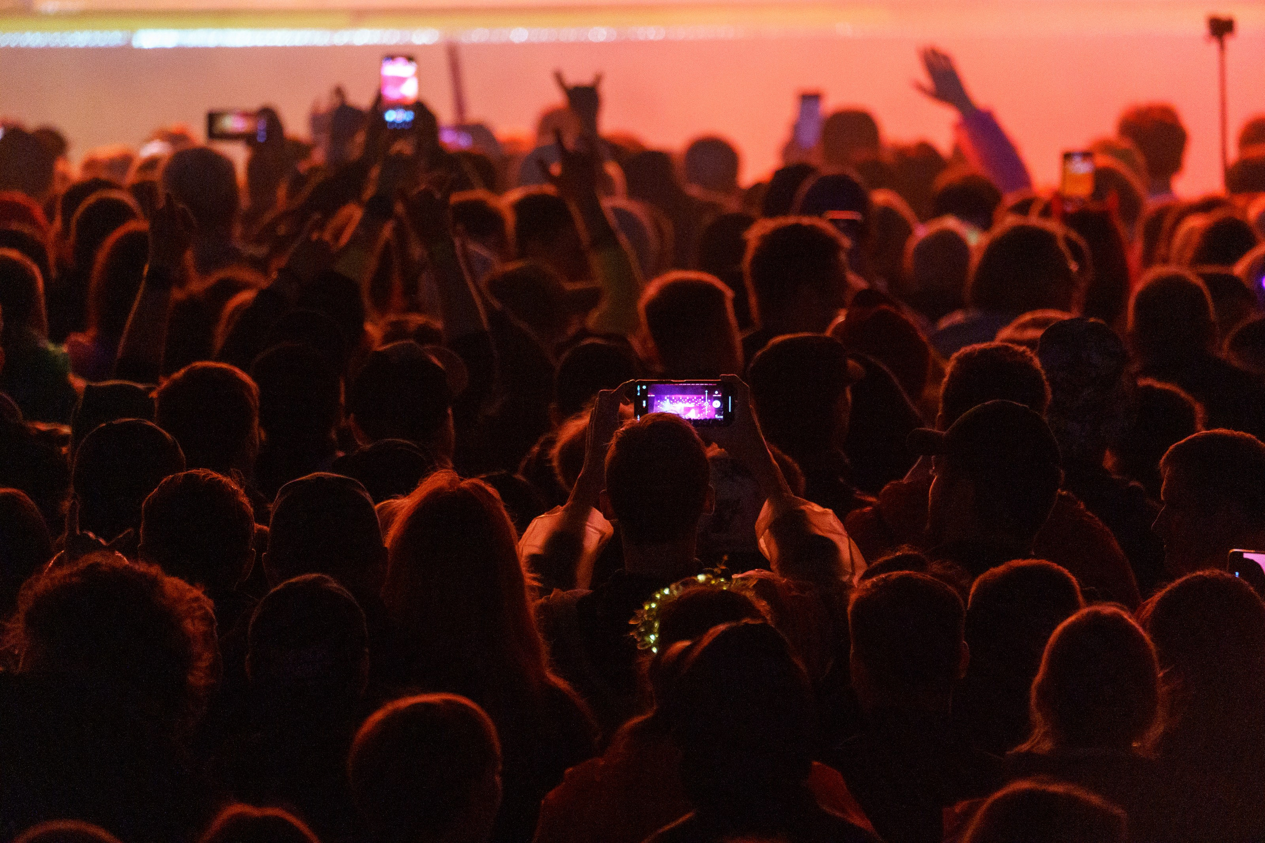 Фотографии музыкального фестиваля Дикая Мята 2025. Фотограф Николай Прокофьев модельные тесты в Москве