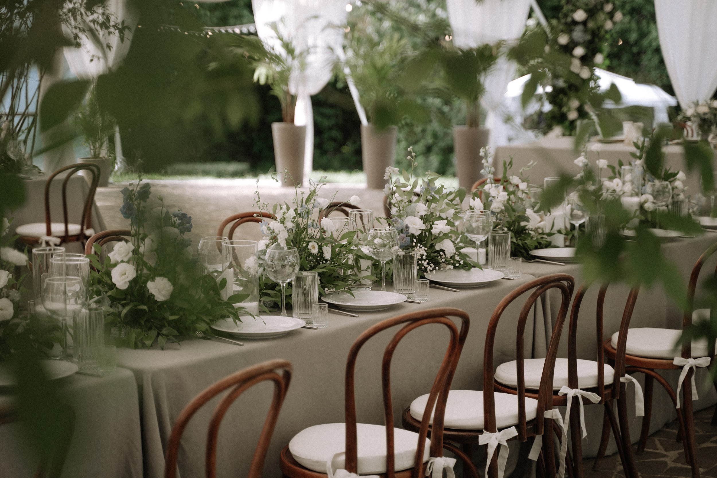 Влад, Вета и лето. Свадебный организатор Viktoria.Wedding