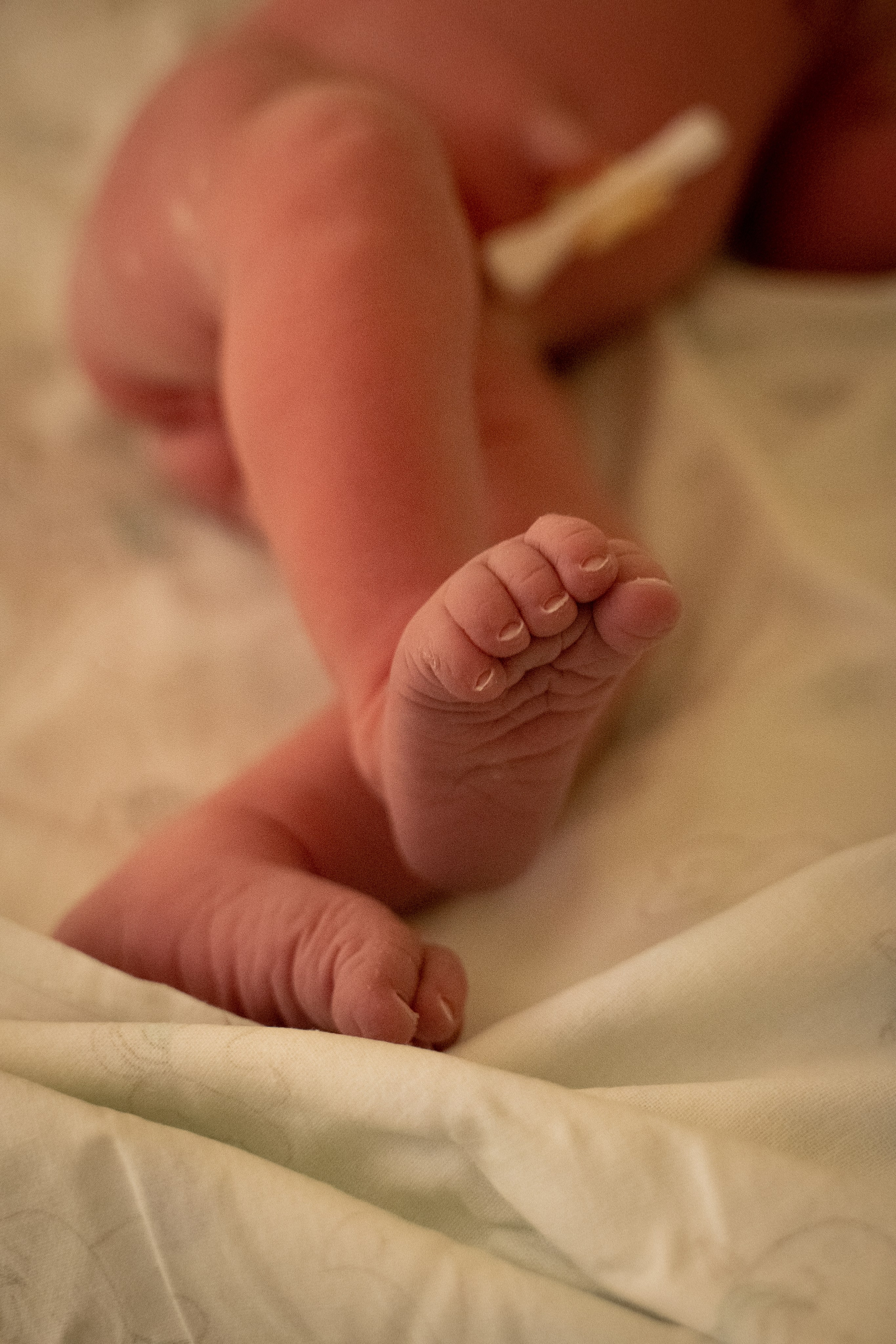 Фотограф на роды в Москве. Фотограф на роды в Москве Алла Rockymouse