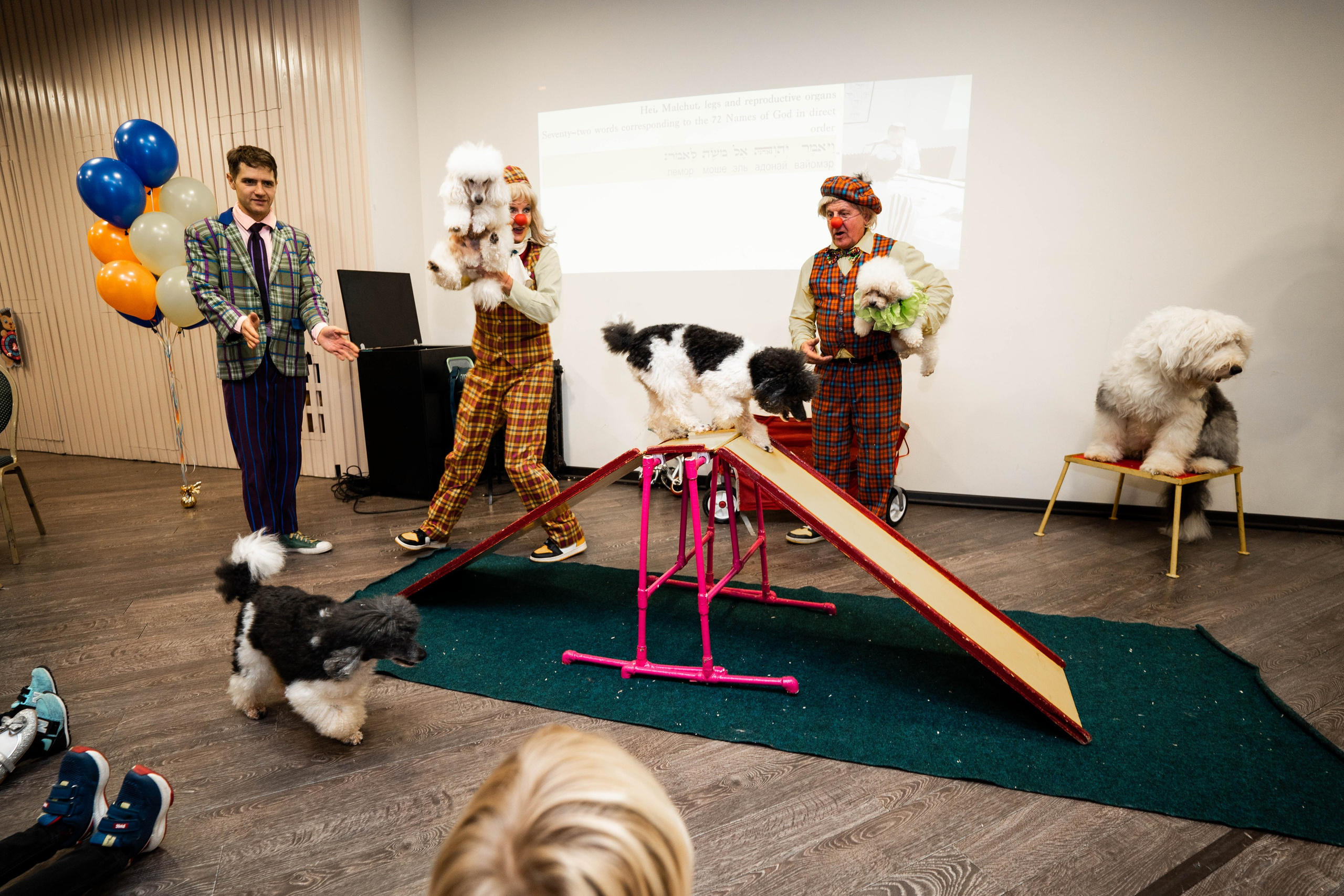 Даниэль h-day. Фотограф Абакумова Анастасия