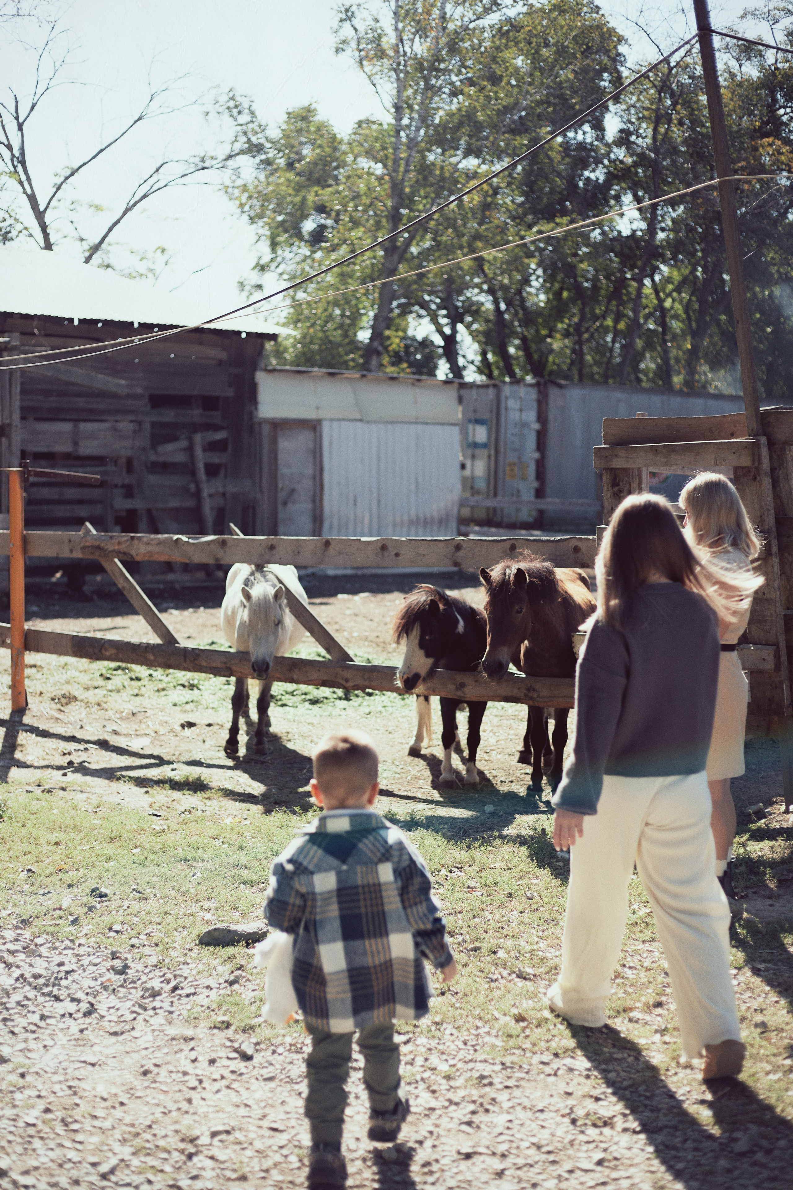 Зоопарк. Фотограф Ионова Анастасия, г Владивосток