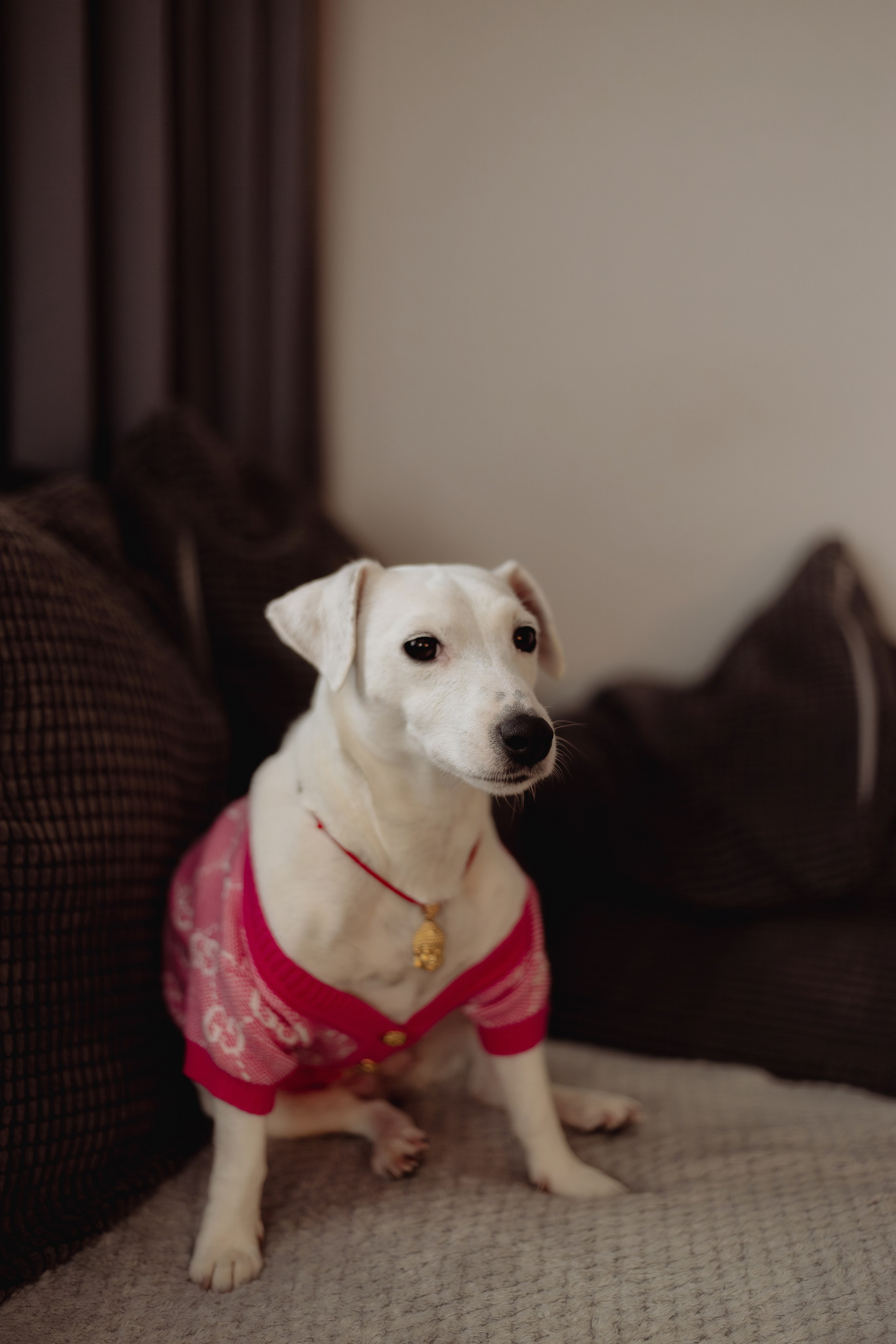 Домашняя. «NEW YEAR». Фотограф Москва / Балашиха