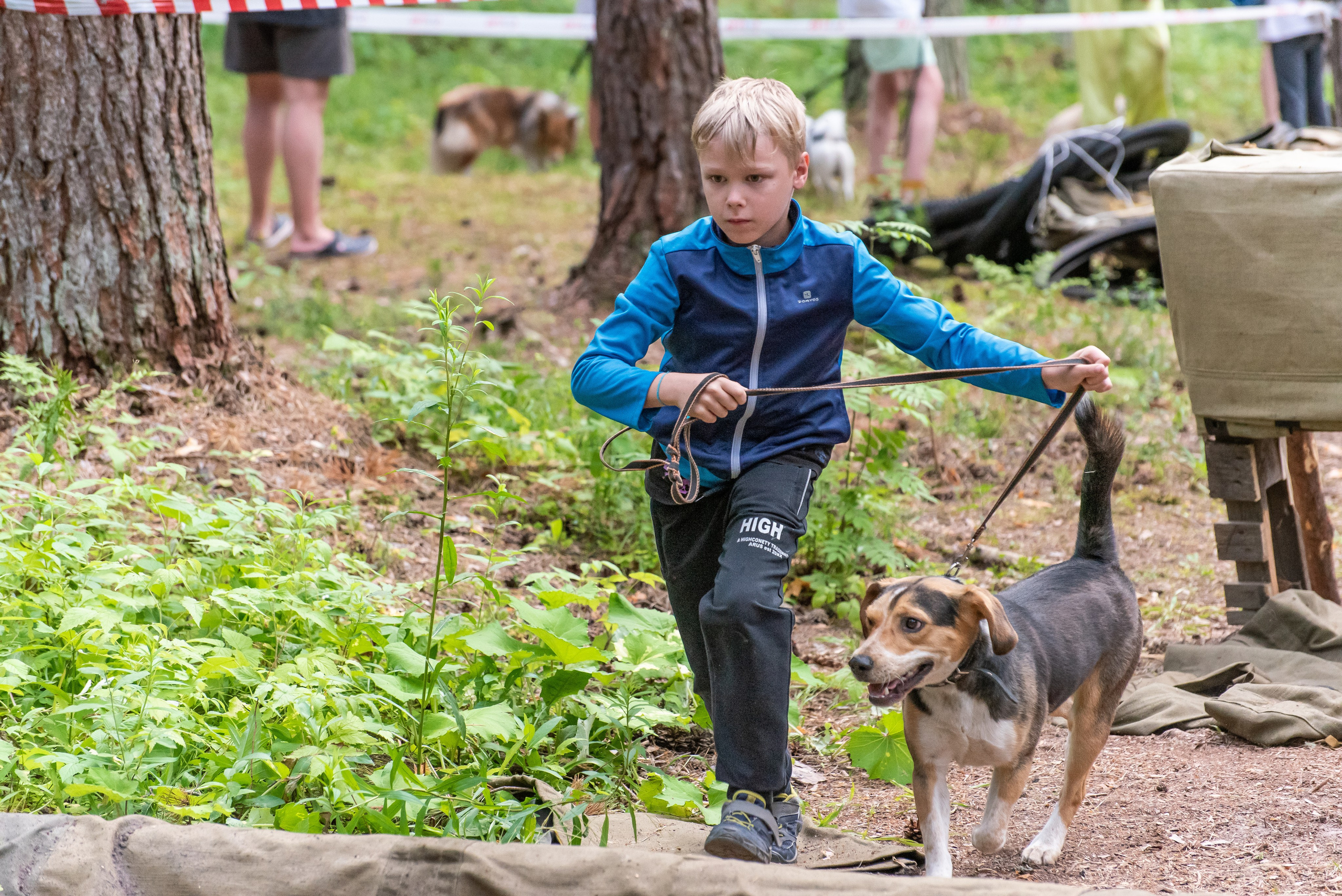 Хвостатые каникулы Детский кинологический лагерь. Фотограф Макс Огурцов в Нижнем Новгороде