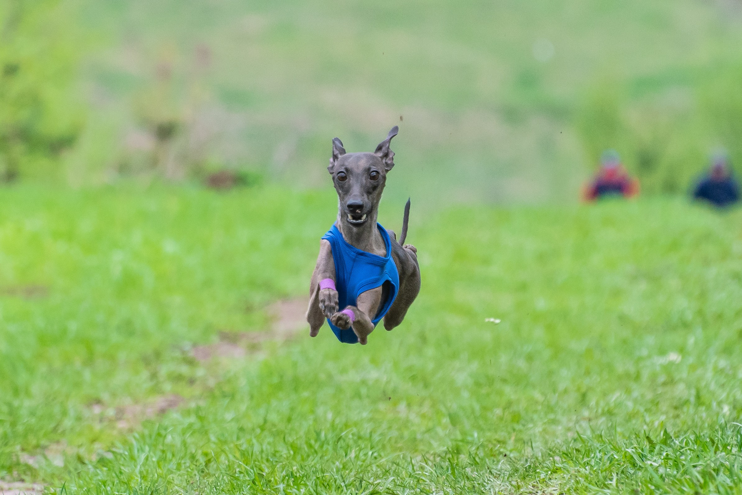 Фотографии с Курсинга. Фотограф Макс Огурцов в Нижнем Новгороде