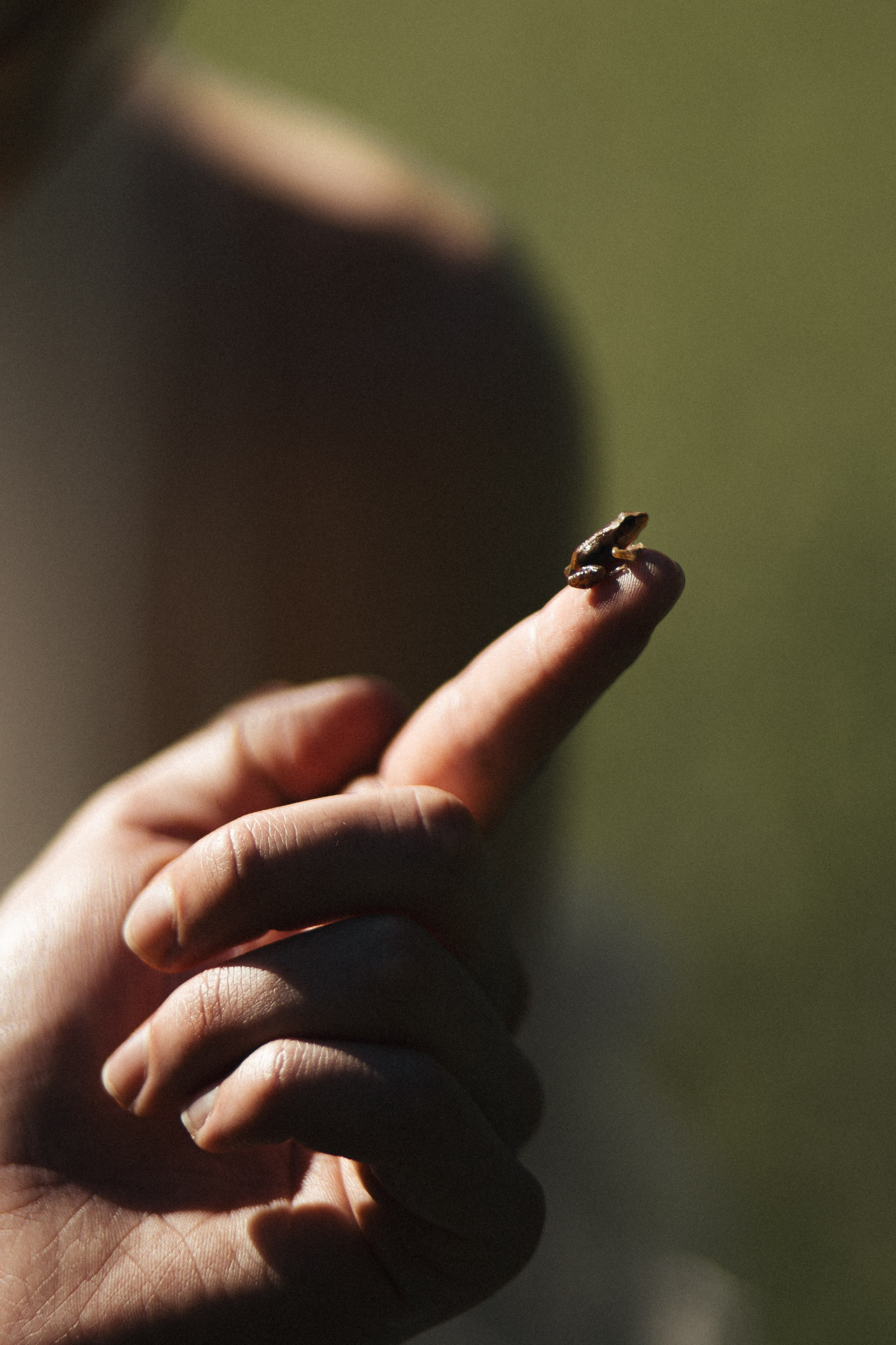 Настя и Матвей. Свадебный фотограф Санкт-Петербург Питер Сальникова Анна