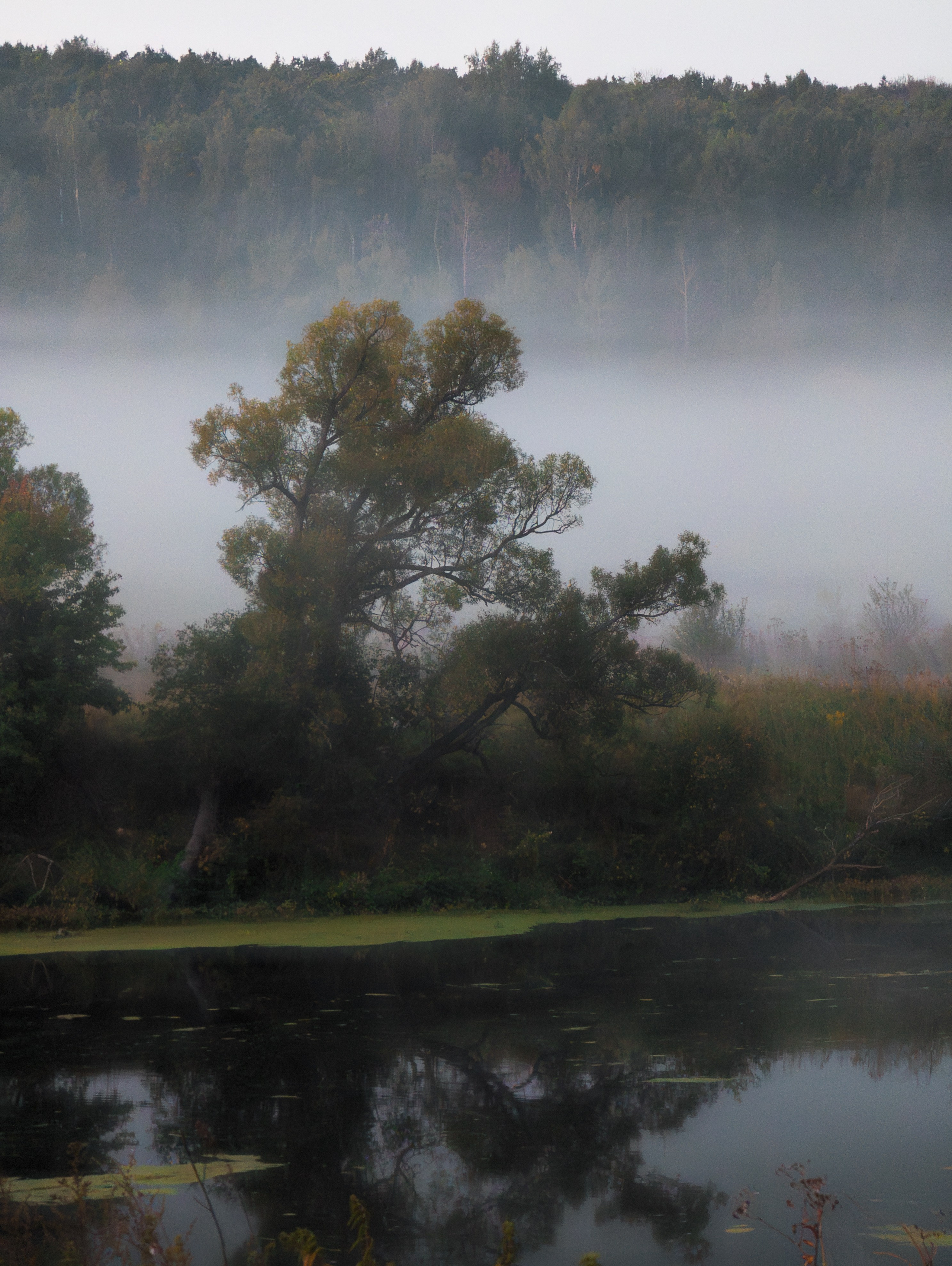 Красивая Меча. Фотограф и видеооператор в Туле | Даниил Рыбак