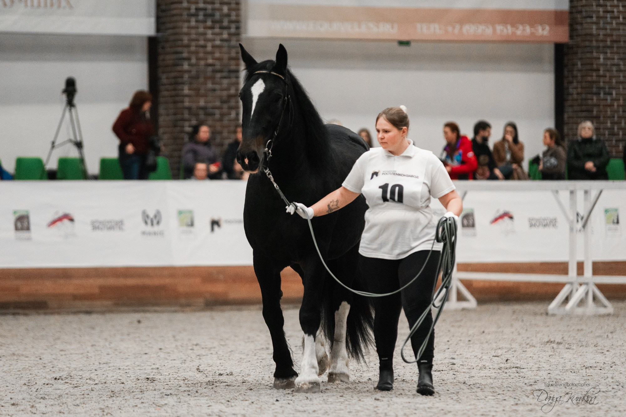 8-я международная выставка Конная Россия. Конный фотограф Куракина Дарья • Фотосессии с лошадьми