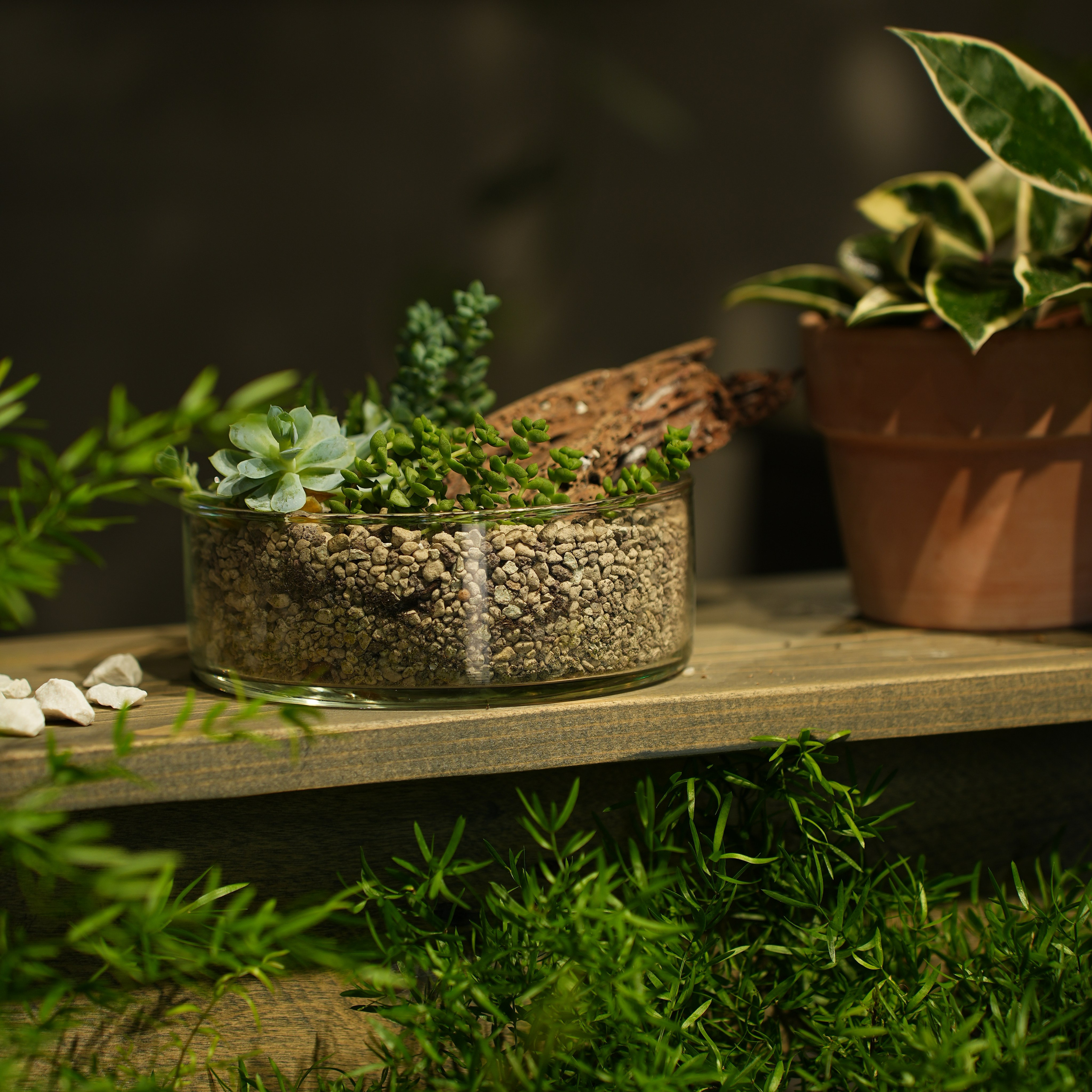 Интерьерная фотосъемка флористического магазина