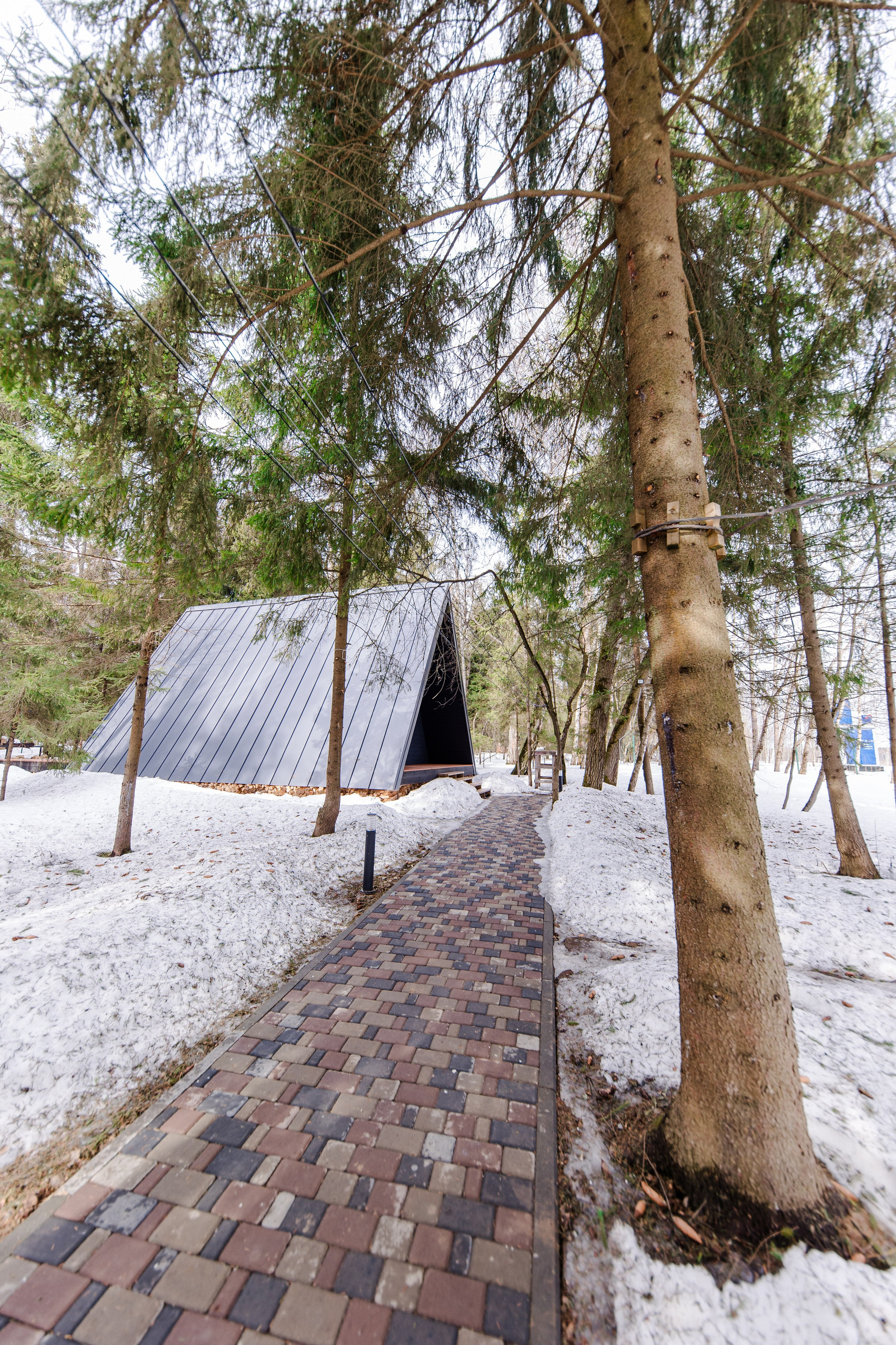 Глемпинг Дивный бор. Семейный и детский фотограф в Москве Кузьмина Мария