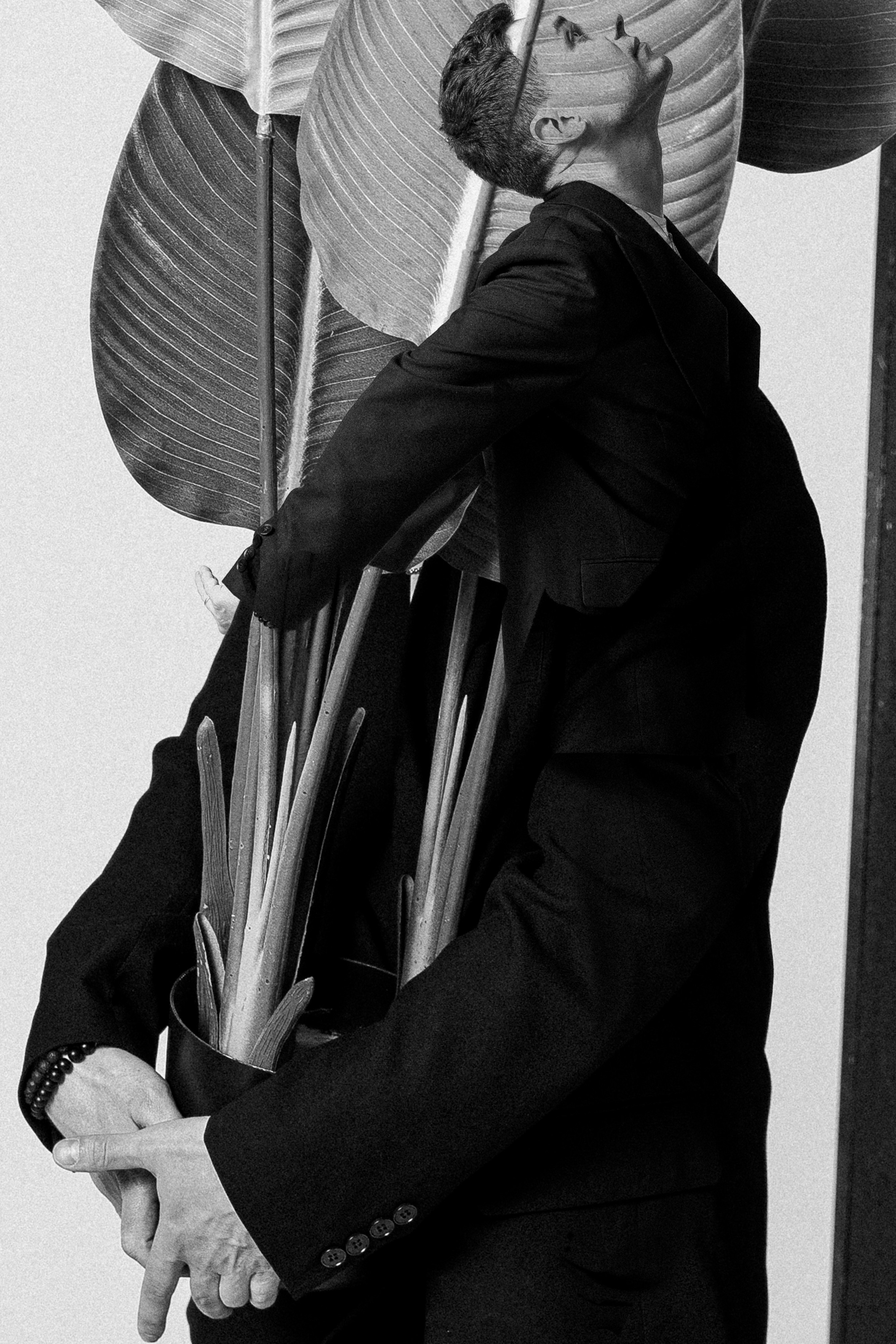 In contrast. Свадебный фотограф Колесников Антон