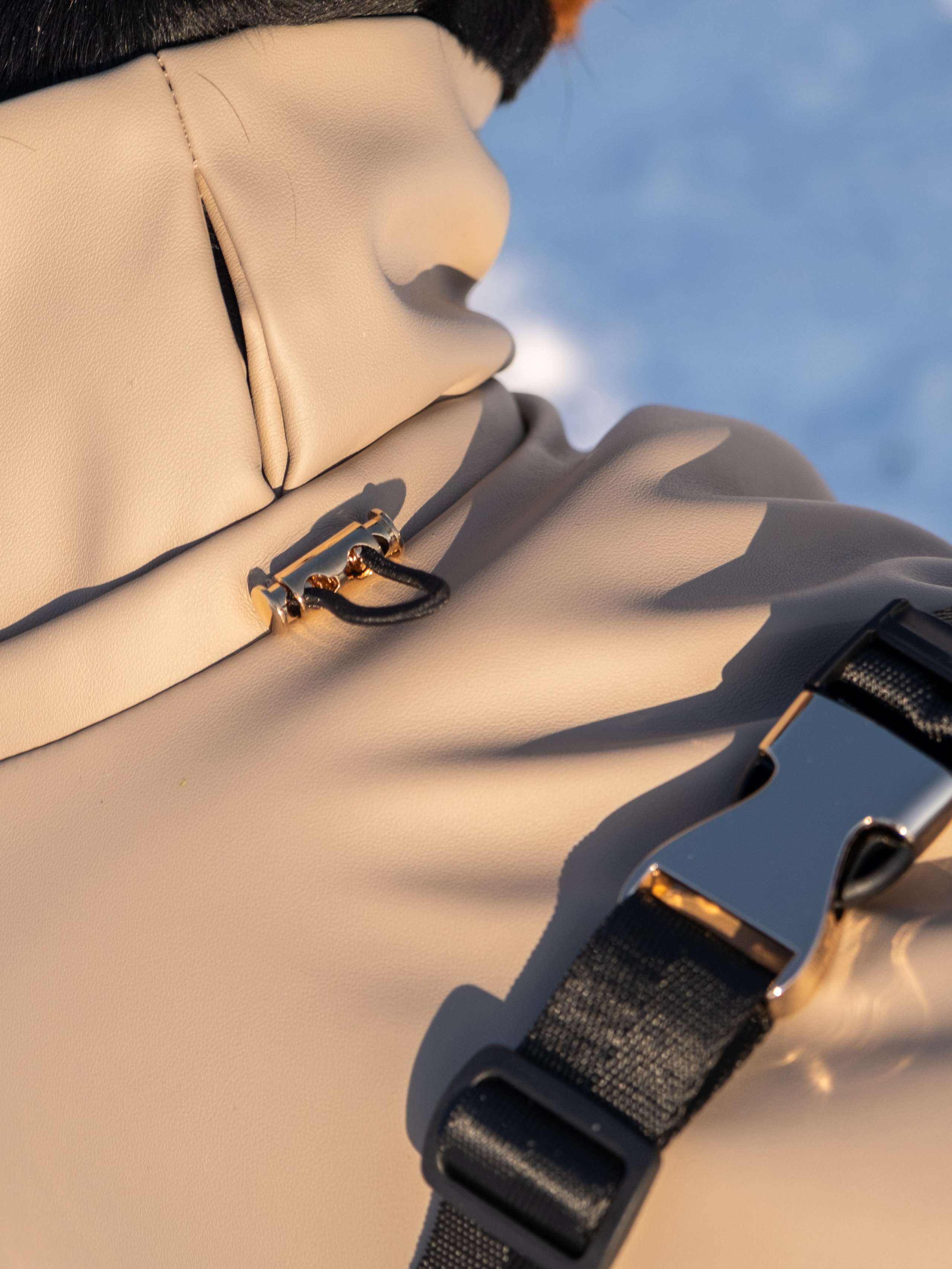 Одежда для собак. Заказчик — Екатерина!. Зоофотограф, фотограф животных в Москве и области Дина Дамоцева