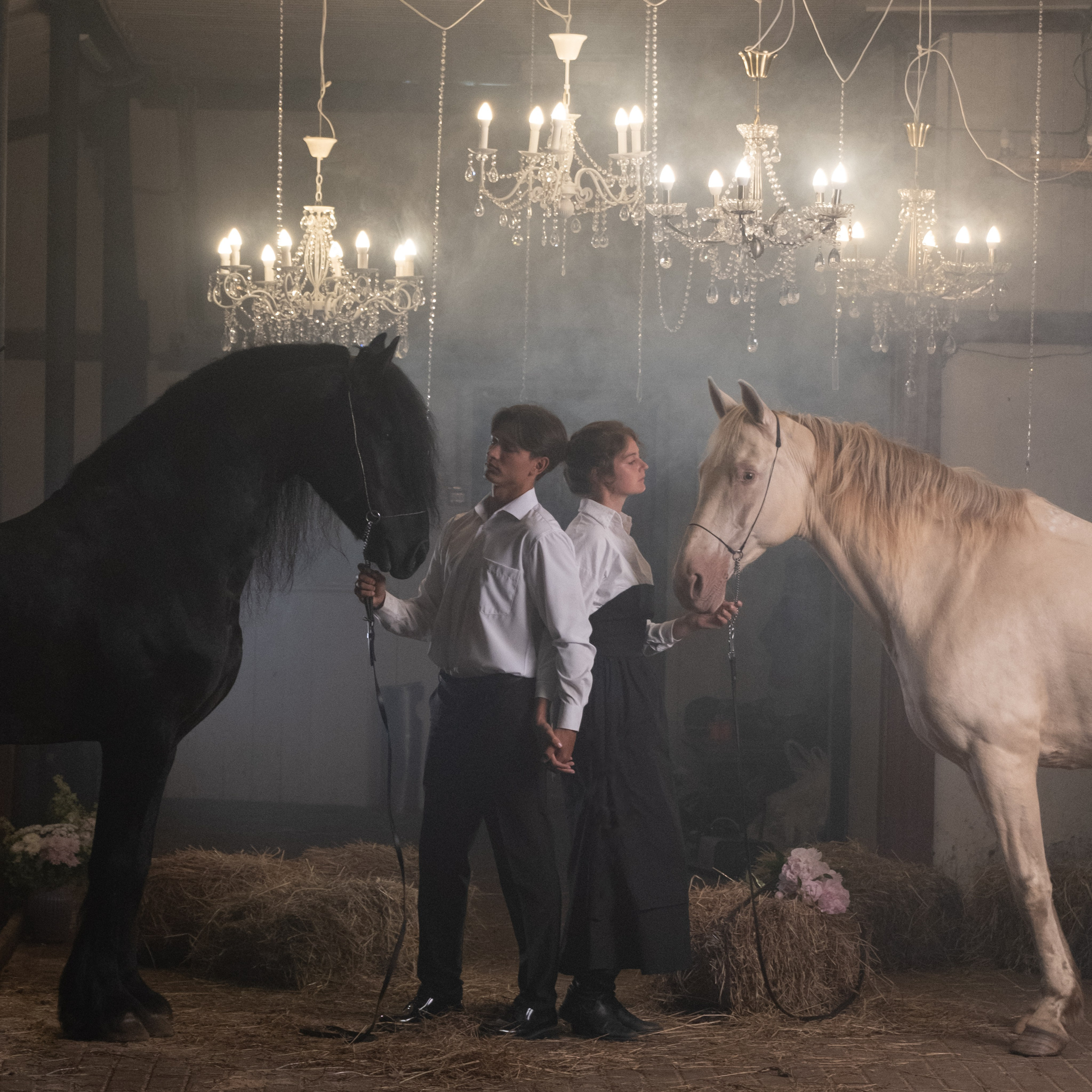 Люди и лошади!. Зоофотограф, фотограф животных в Москве и области Дина Дамоцева